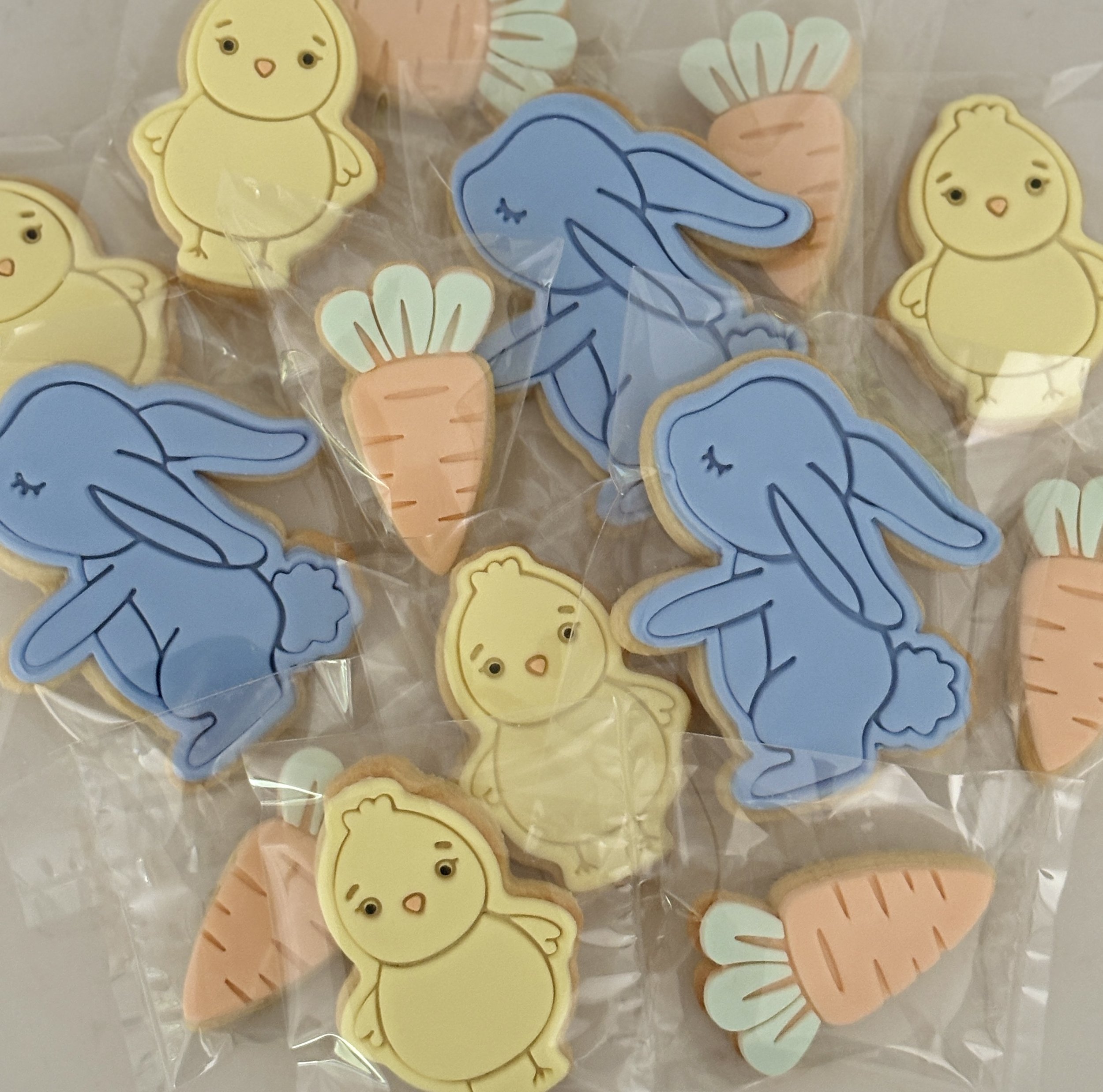 Whimsical Easter Bunny (10 pack)