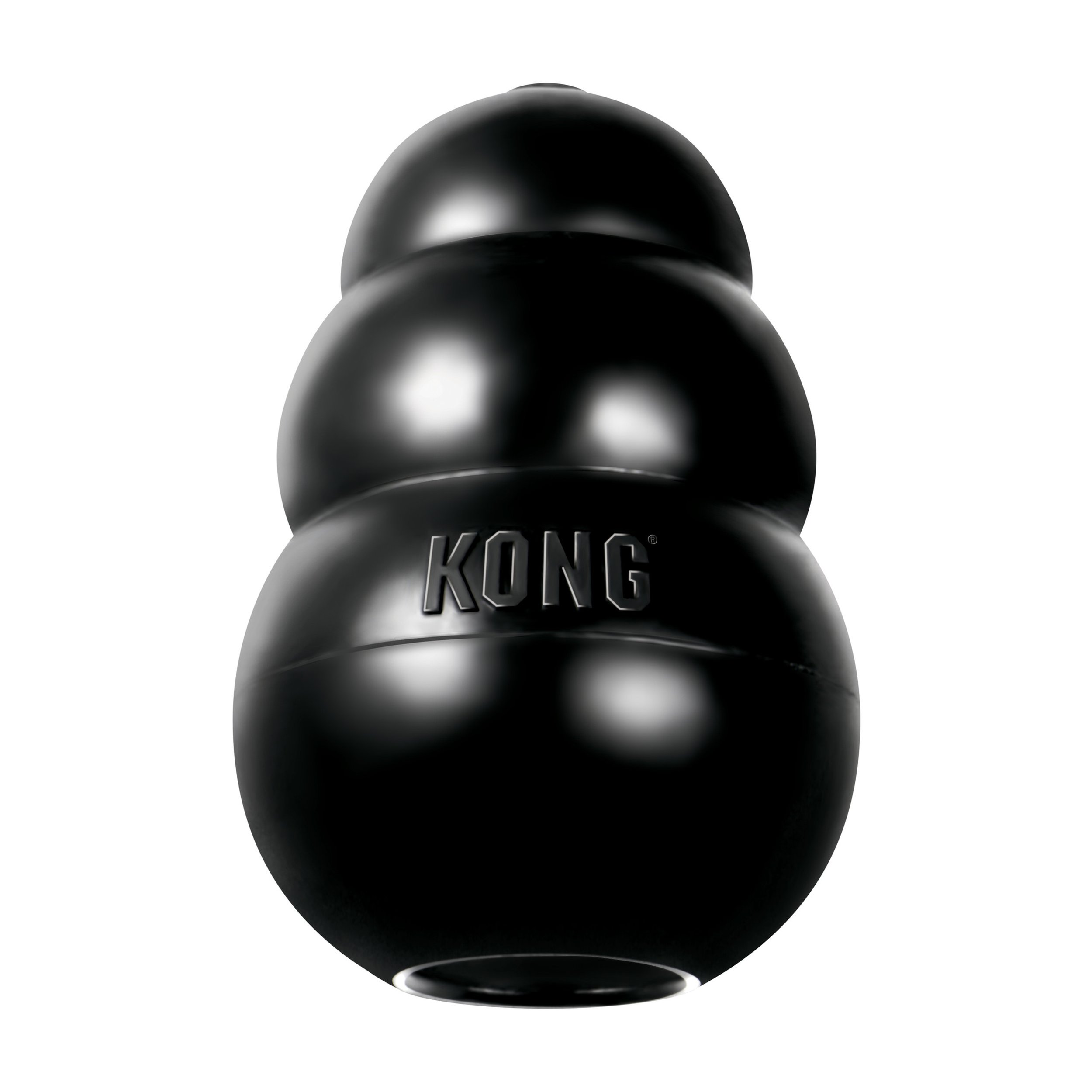 Large Kong - SFAHS