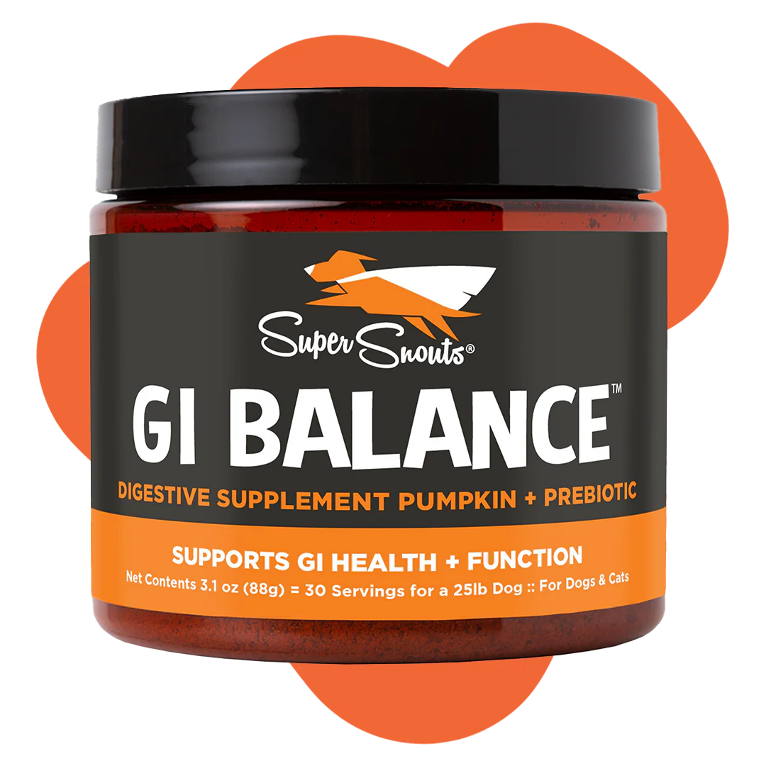 Super Snouts GI Balance