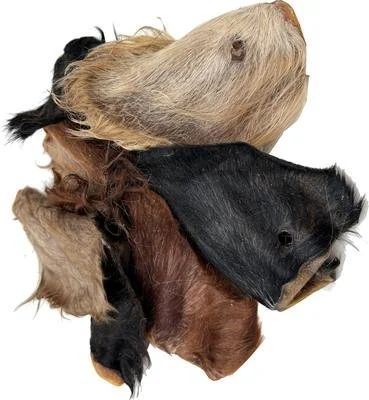 Cow Ear with Hair