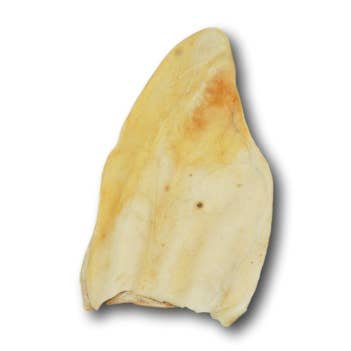 Cow Ear