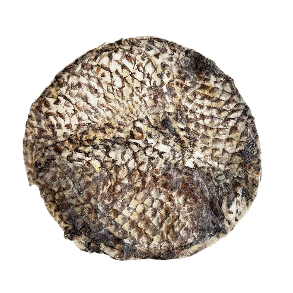 Tilapia Skin Fursbee