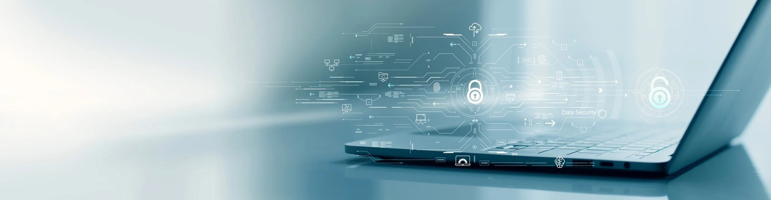 Cyber