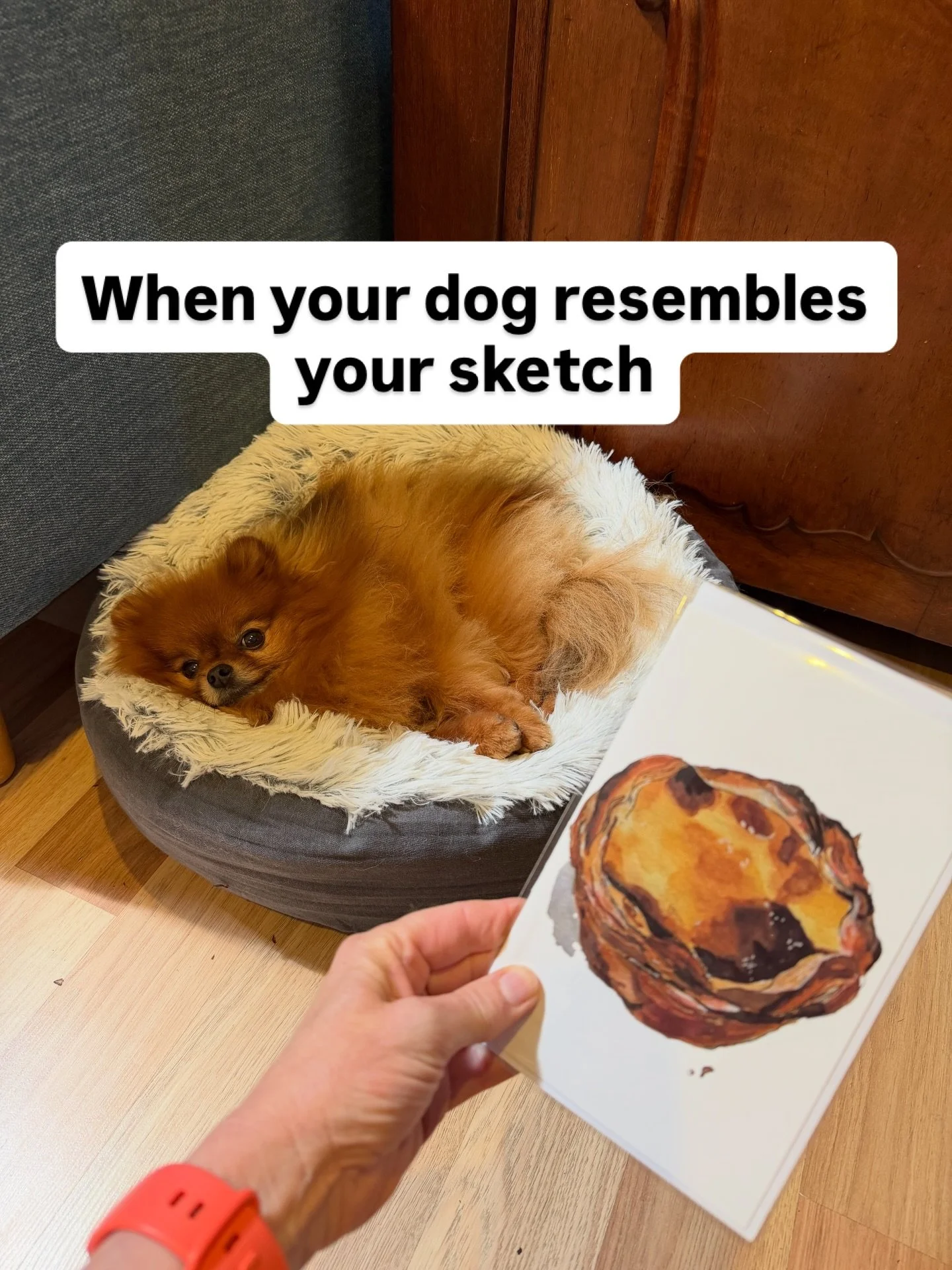 My little fluffy Chilli Portuguese tart 😍