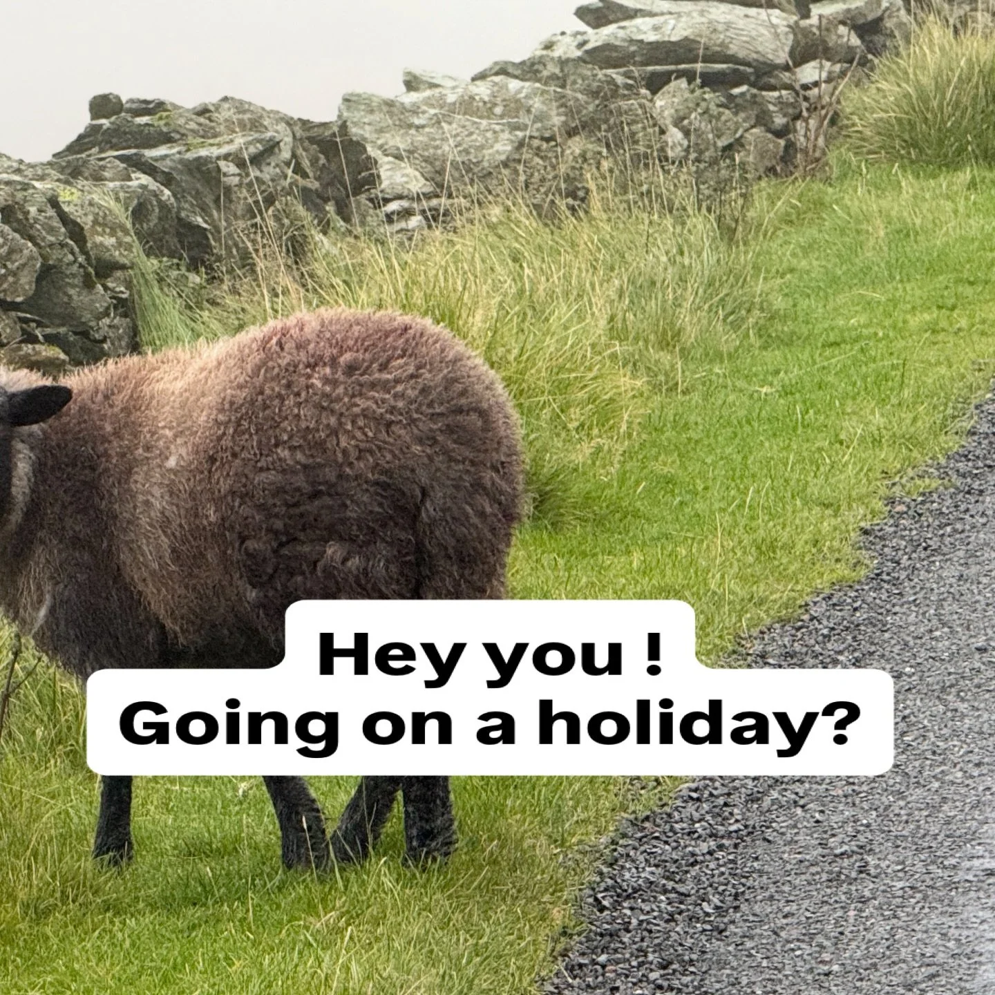 Travel Sketching workshop.  Using watercolors.  All materials supplies.  Sat 21st Feb 10-2 $190.  Beginners welcome.
Learn to make memories in a travel sketchbook.
Link in bio.
#travelsketching #strathnairnarts #watercolourtechniques #artworkshop