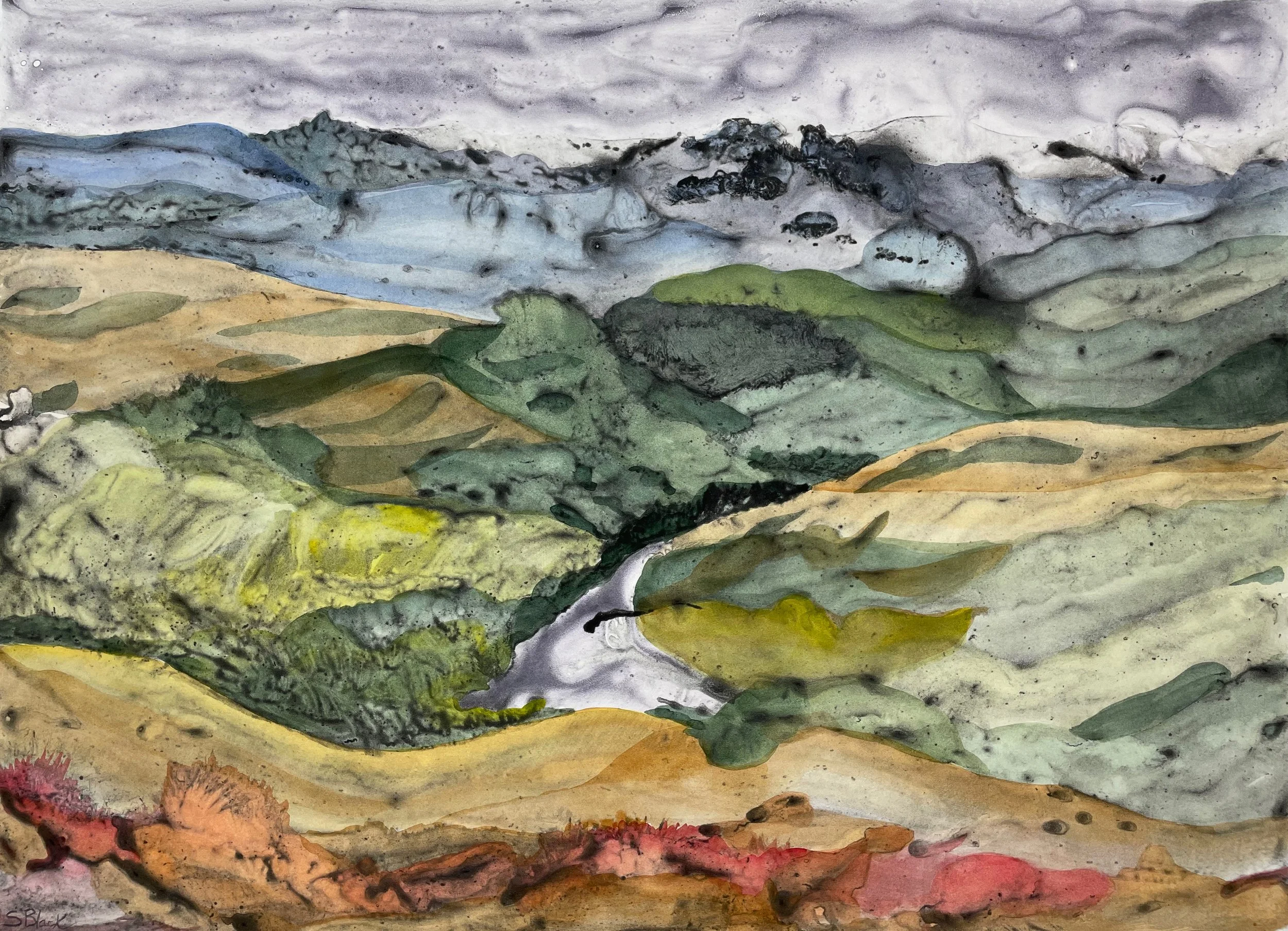 Black Sally_Gruner's Abstracted_57x76cm.jpeg