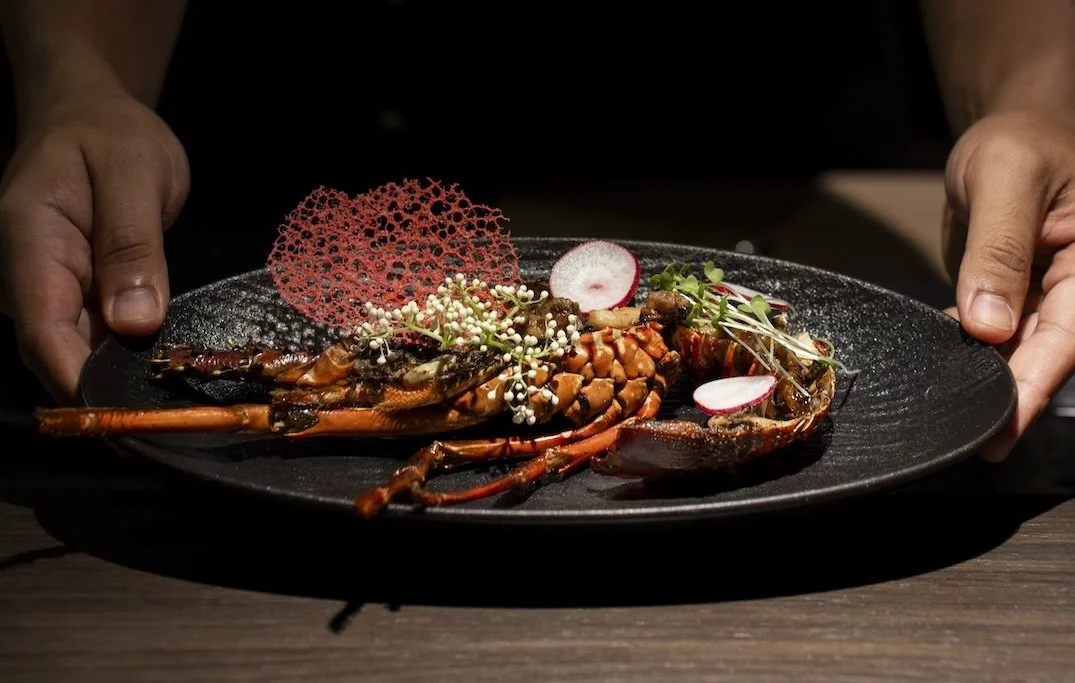 A person holding a black plate with a cooked lobster garnished with microgreens, sliced radishes, and a red decorative tuile.