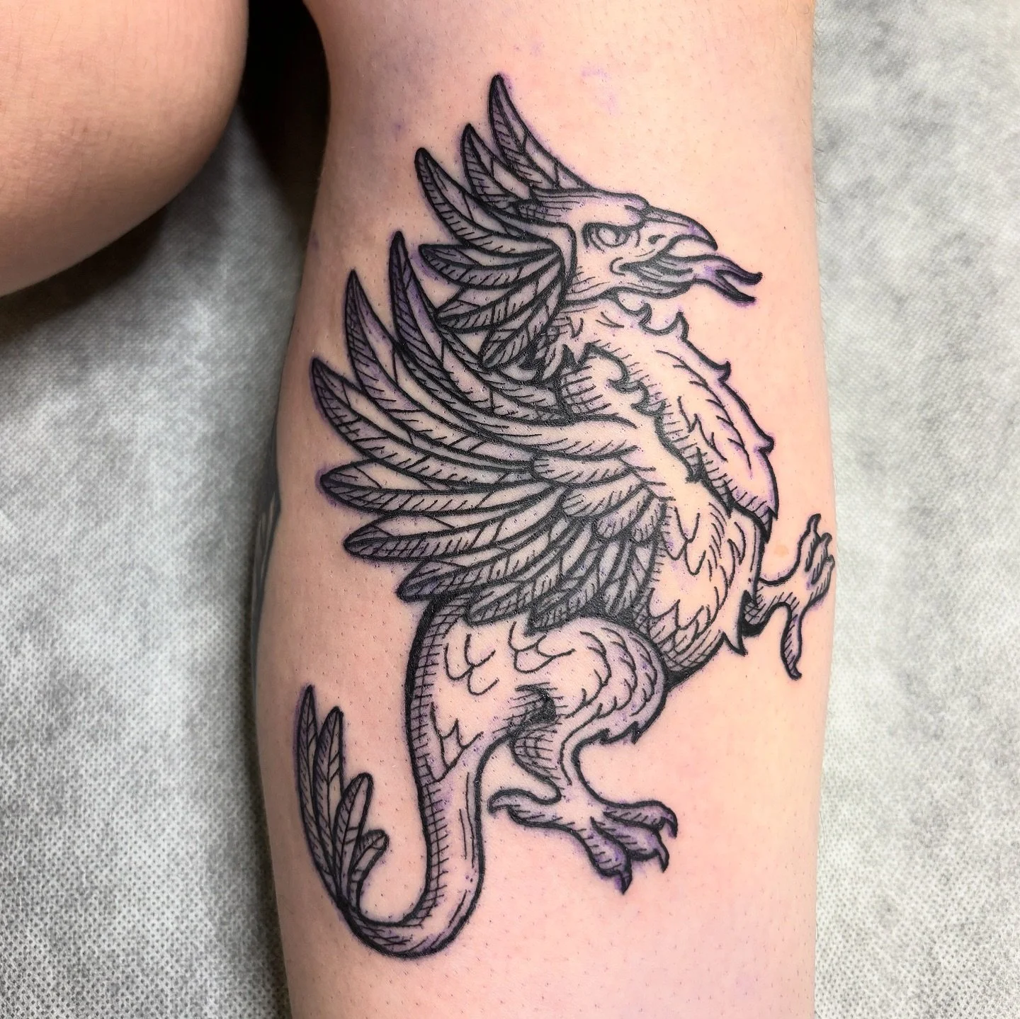 Cockatrice from my Dragon Flash Sheet for Tori! 🐉
Taking bookings for December now! ✨
DM to snag a spot 🖤 @hibernia_tattoo