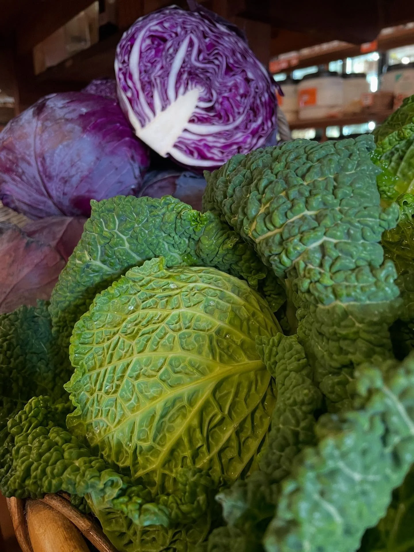 Is there anything more beautiful than winter cabbages?