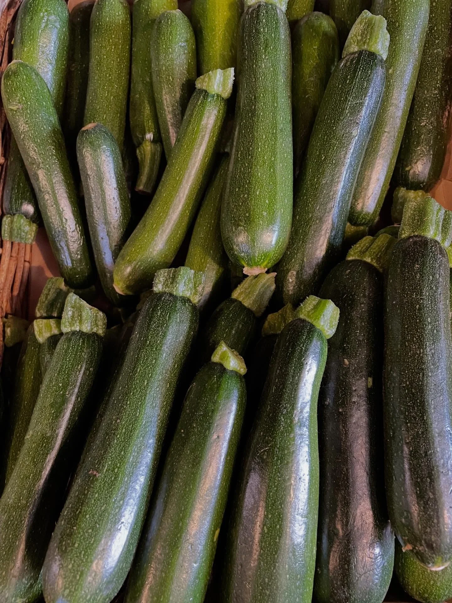The local zucchini season has started!