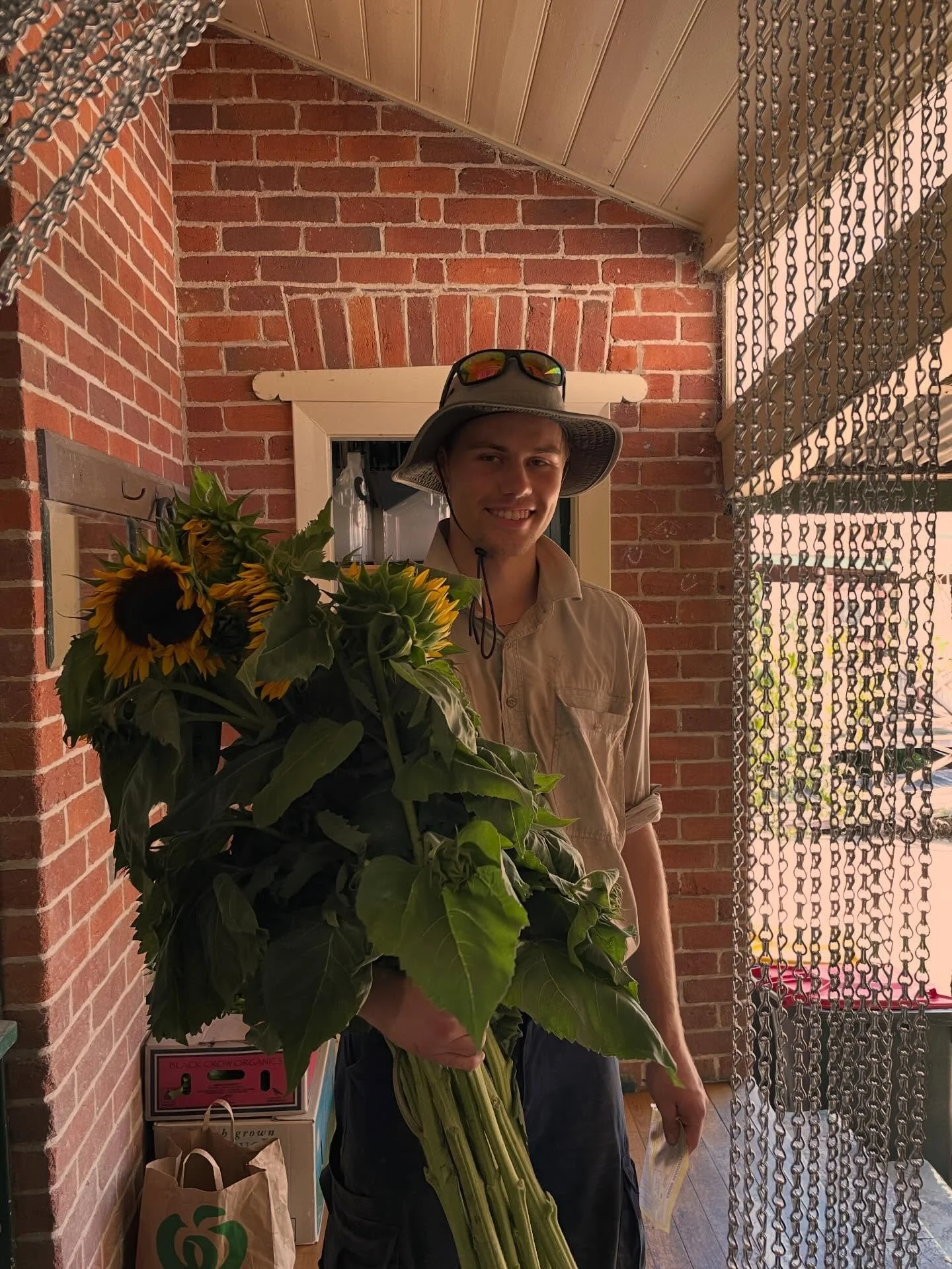 Jacob from @growthefuturebega arriving with sunflowers, tomatoes, silverbeet, parsley, squash, fennel, garlic and cucumbers.