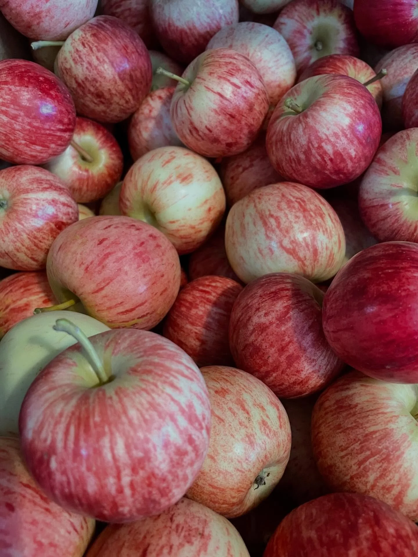 It&rsquo;s local apple season again!  Red Free, Galaxy and Nashis arrived today.