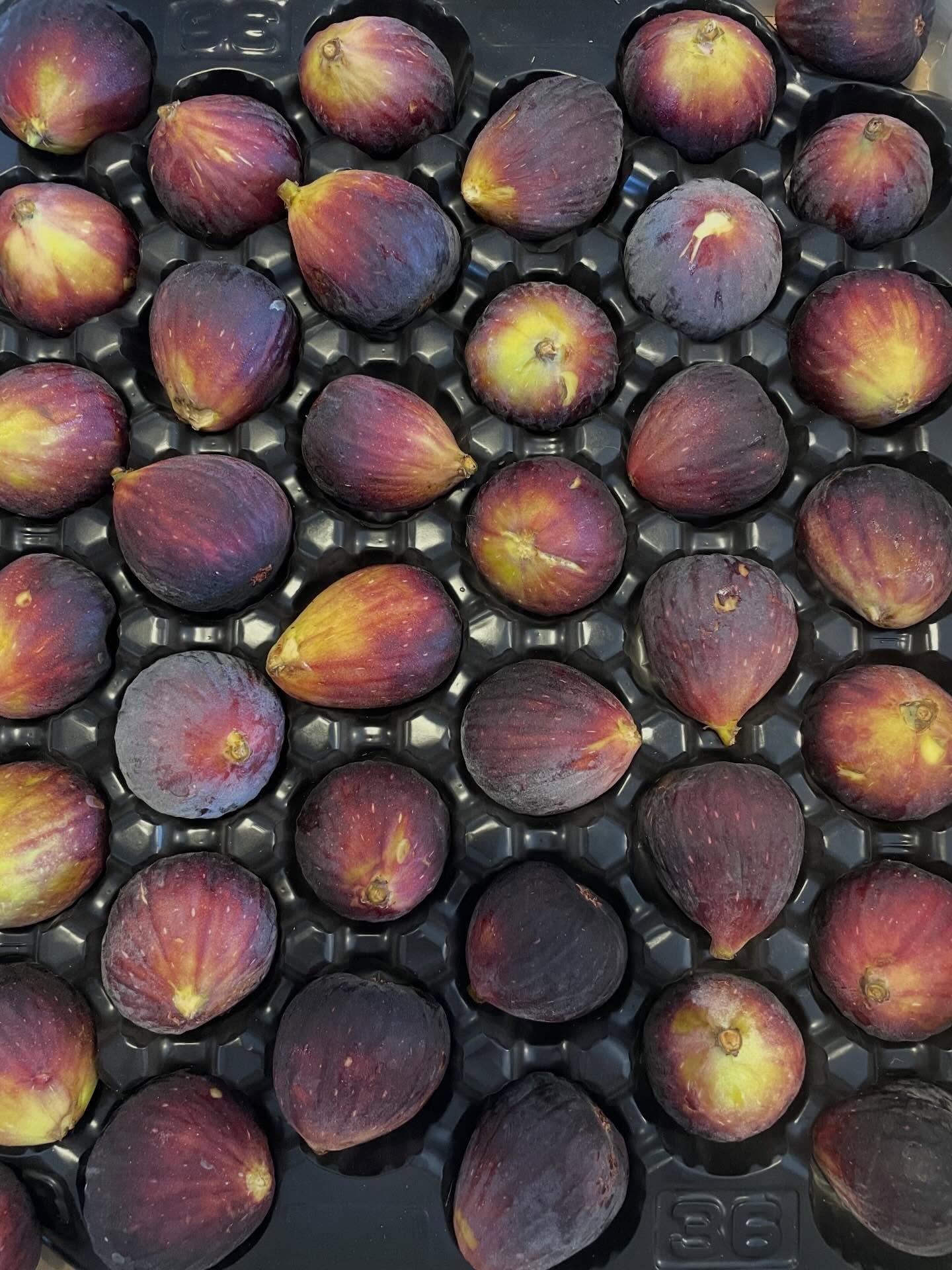 Delicious fresh organic figs arrived today!