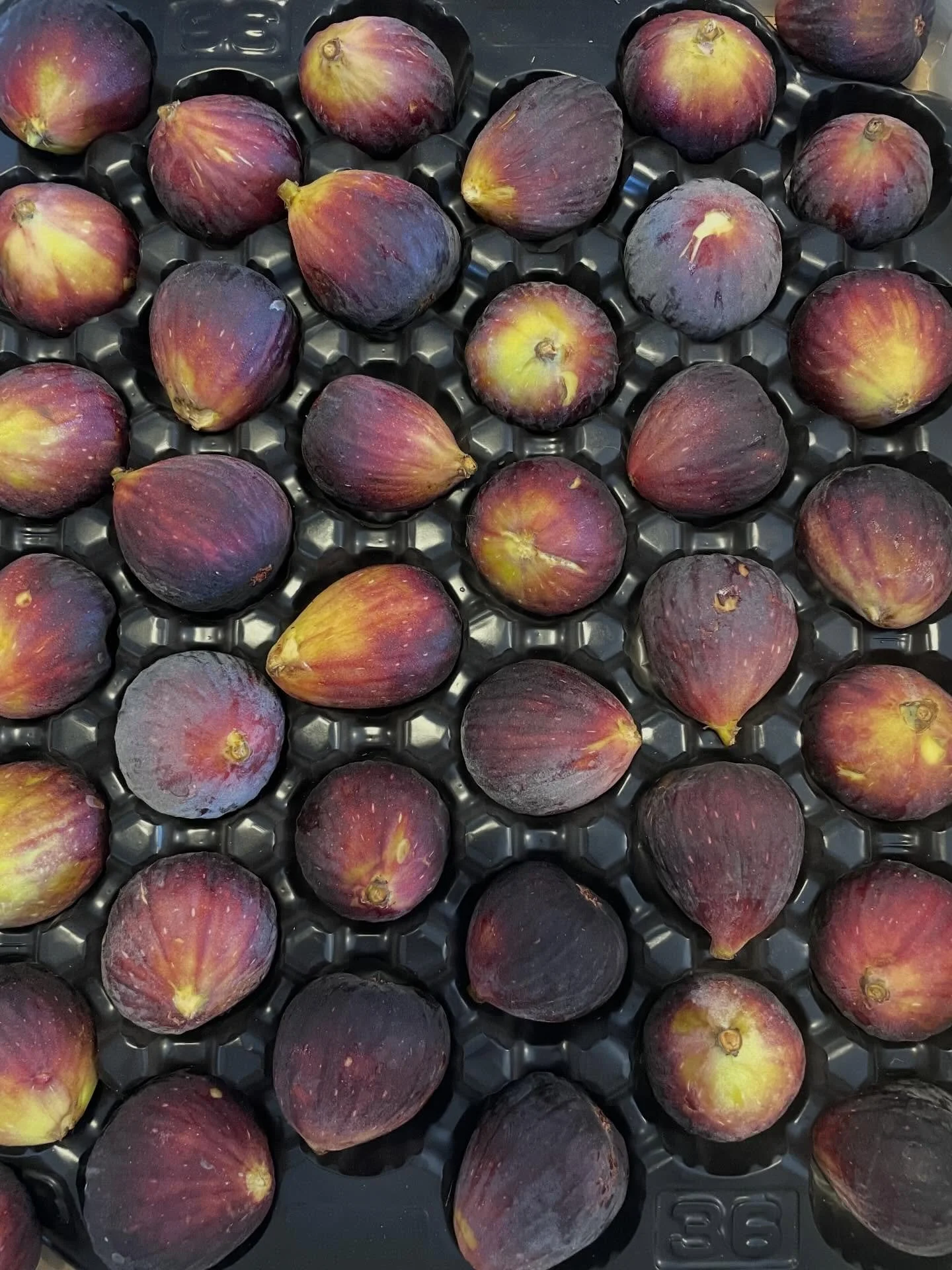 Delicious fresh organic figs arrived today!