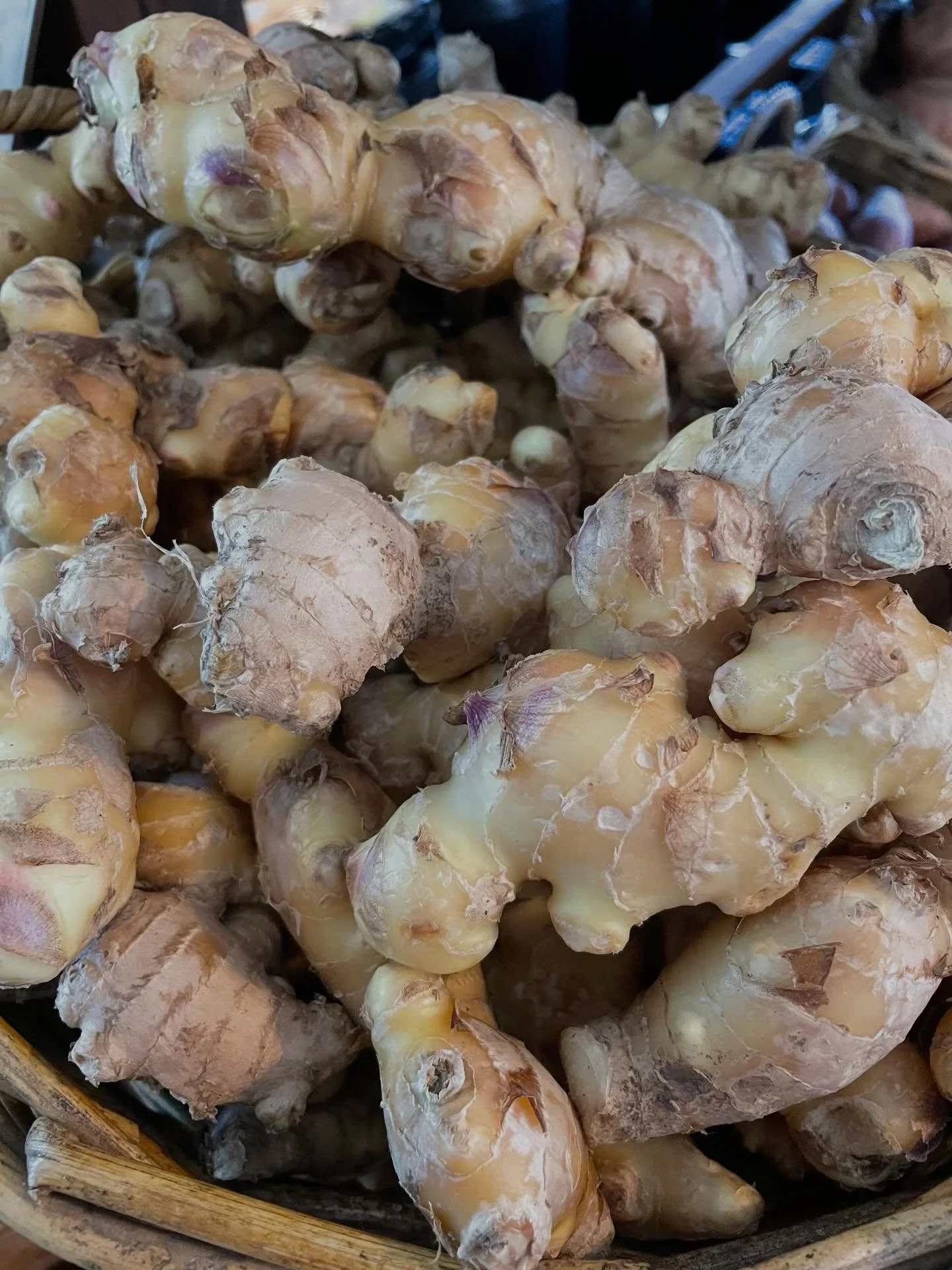 Ginger is looking gorgeous this week