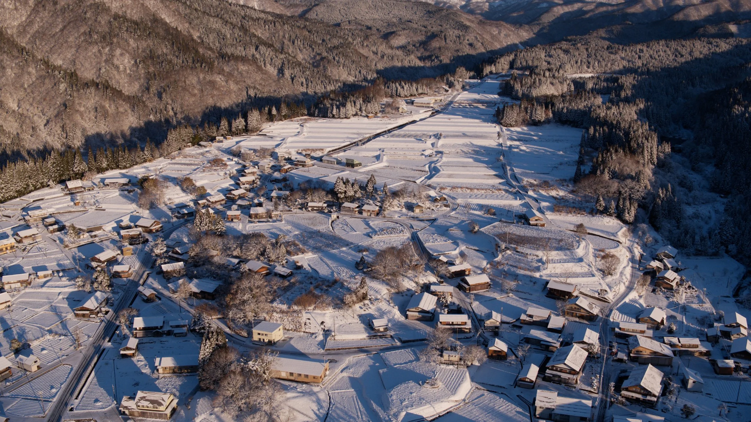 Dance With The Issue_M2.00_21_12_01.静止画008.jpg