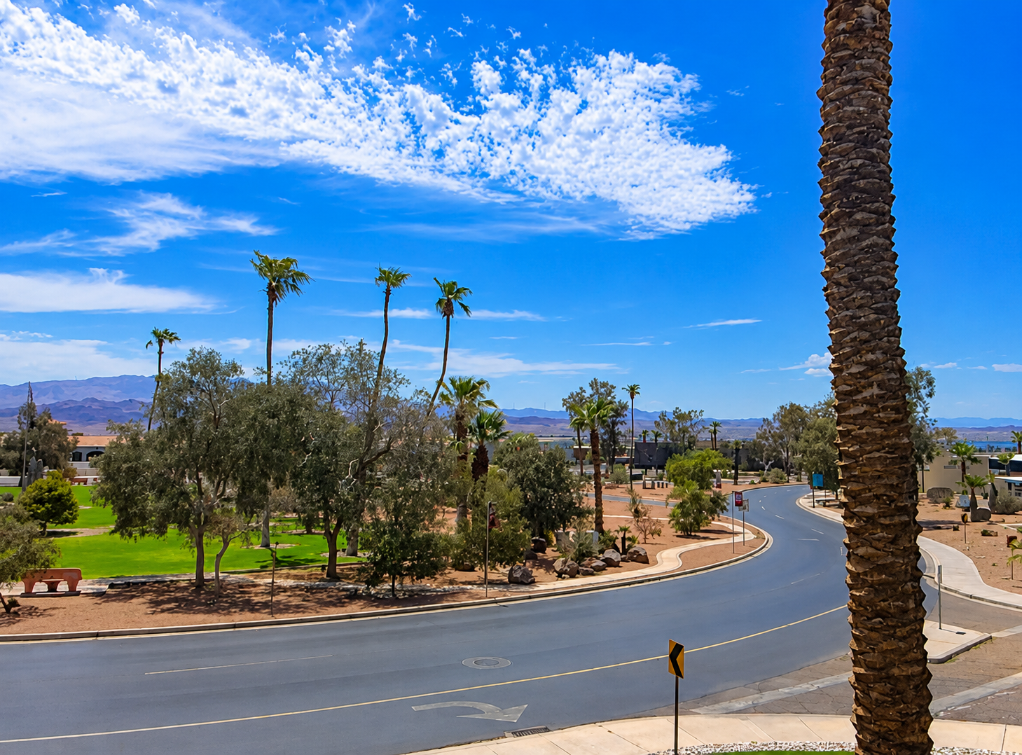 A desert park scene with palm trees, a curved road, green grass, and a blue sky with white clouds, mountains visible in the distance. This is the view from the salon