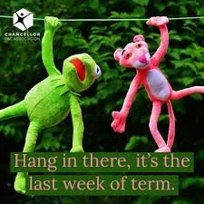 Newsletter: Issue 9 2026