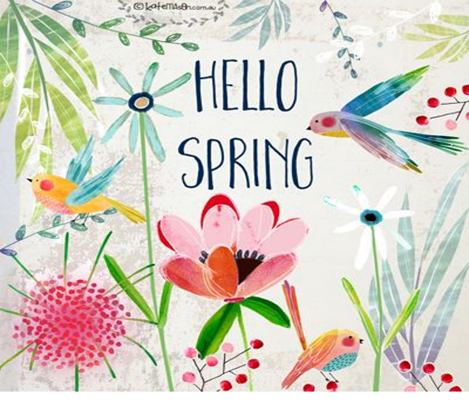 Newsletter: Issue 28 2026