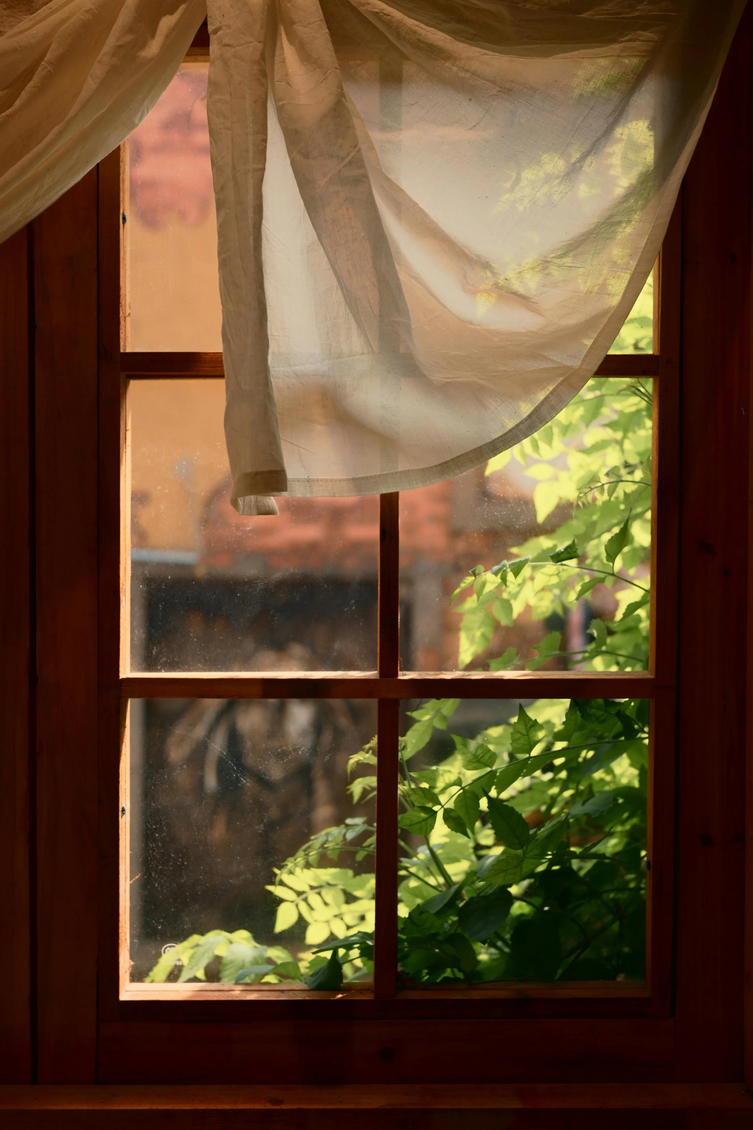Garden viewed through timber window probate lawyer Sydney