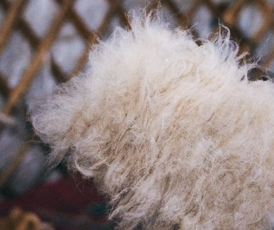 vol.3 モンゴリアンカシミヤのバランス感 — Mongolian Cashmere Sweater