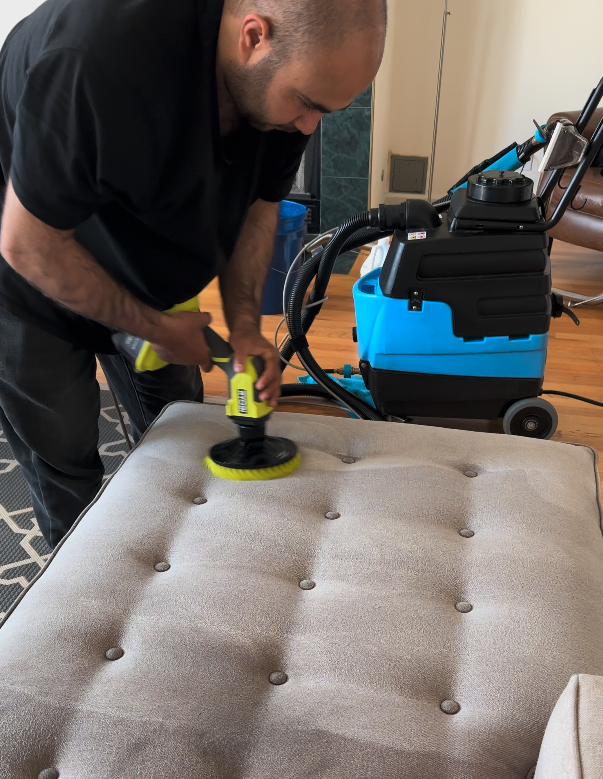 couch, sofa and carpet cleaning in san francisco Bay area