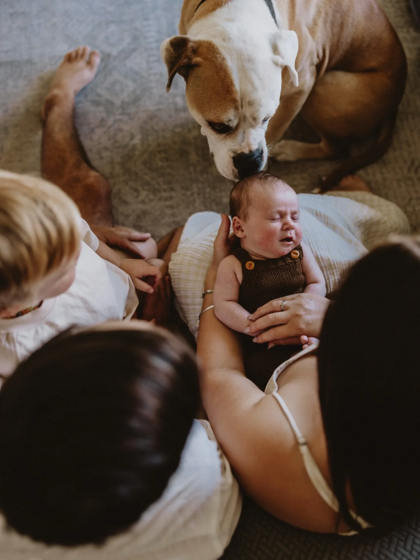 The last couple of months have been a dream with all the in-home newborn sessions, I'm completely hooked 😍