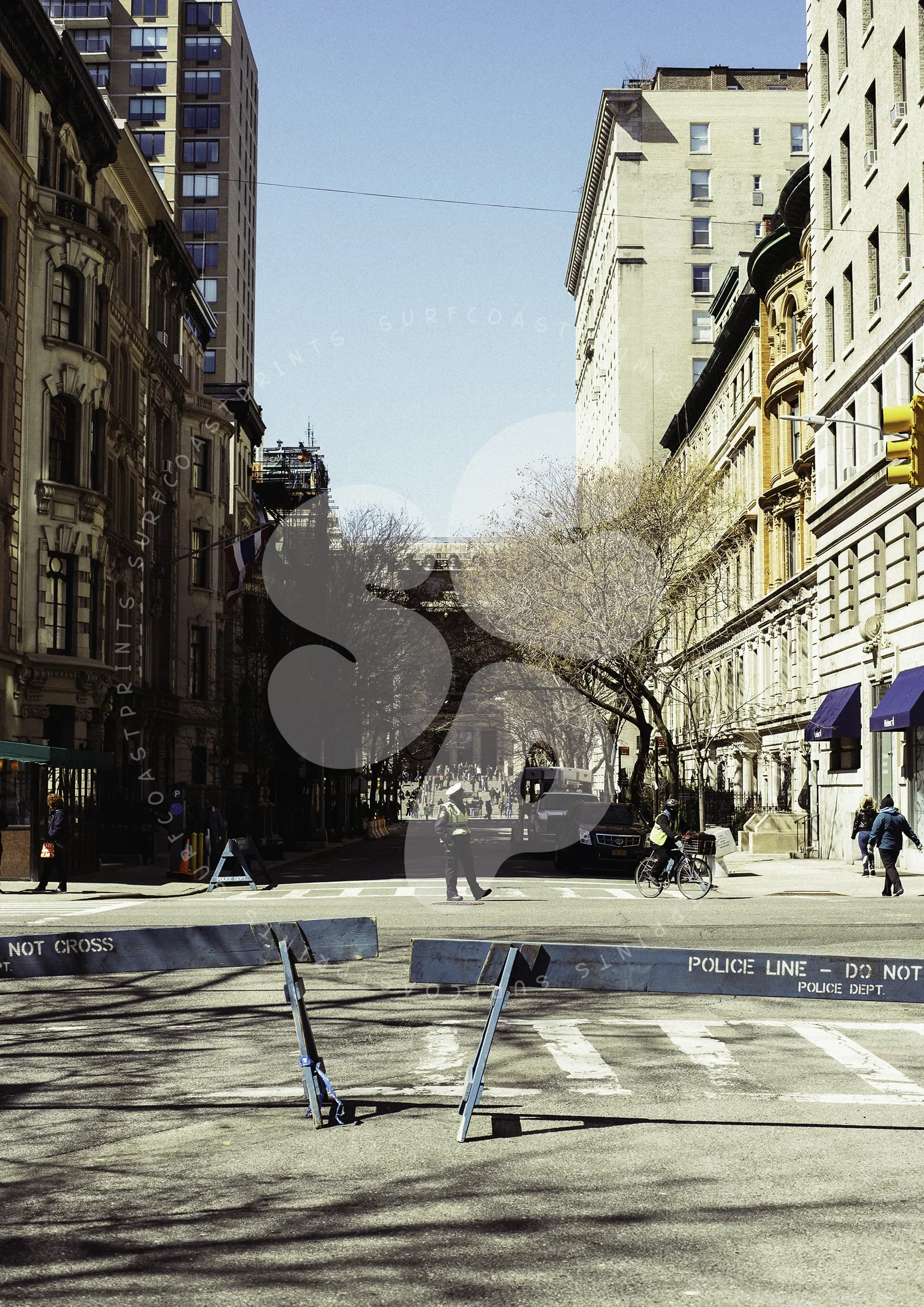 New York Natural History Museum Approach Surf Coast Photography Prints-2_PORTRAIT_WATERMARK.webp