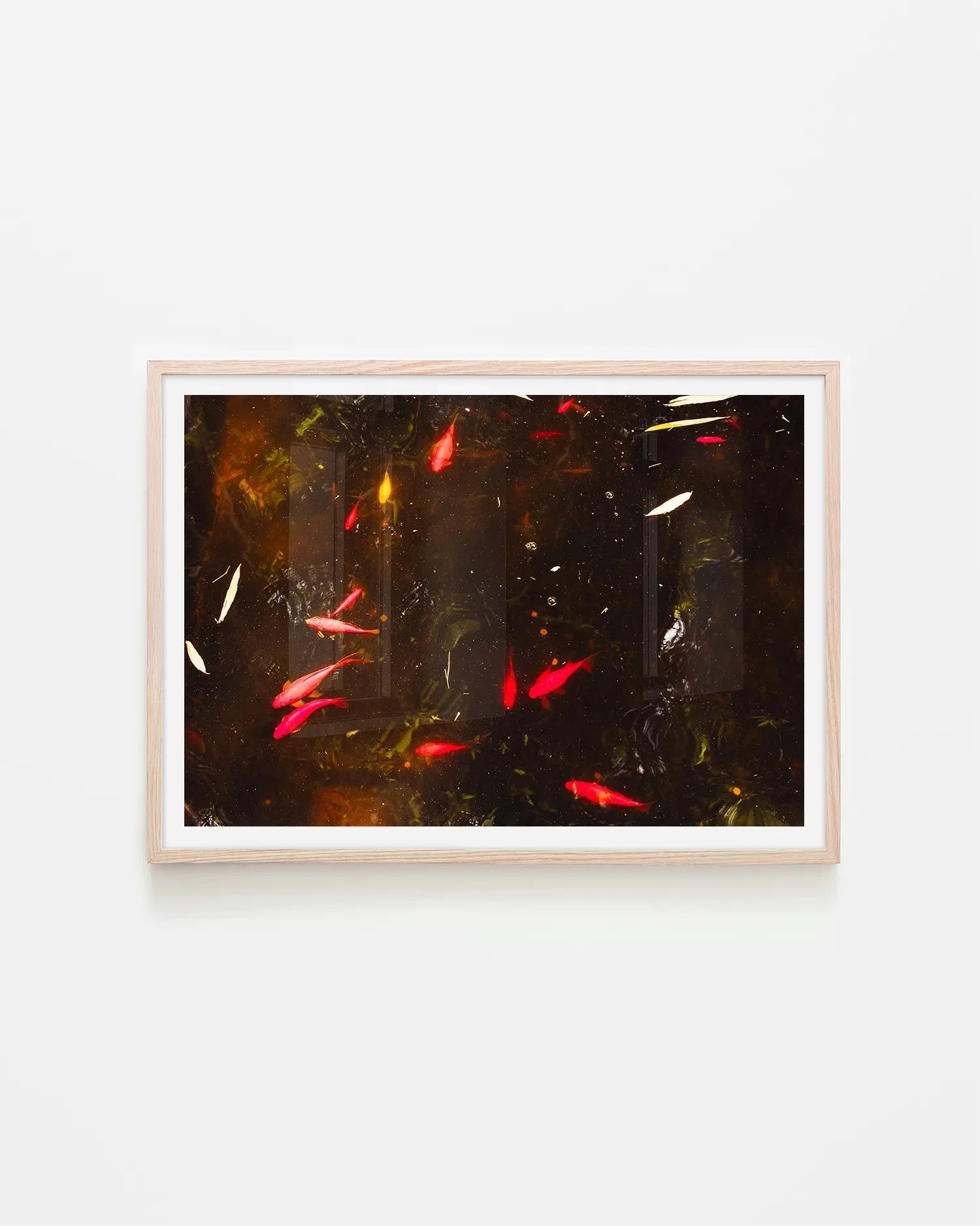 Yves Saint Laurent Koi Pond Marrakech Surf Coast Photography Prints-7 A3 LANDSCAPE OAK