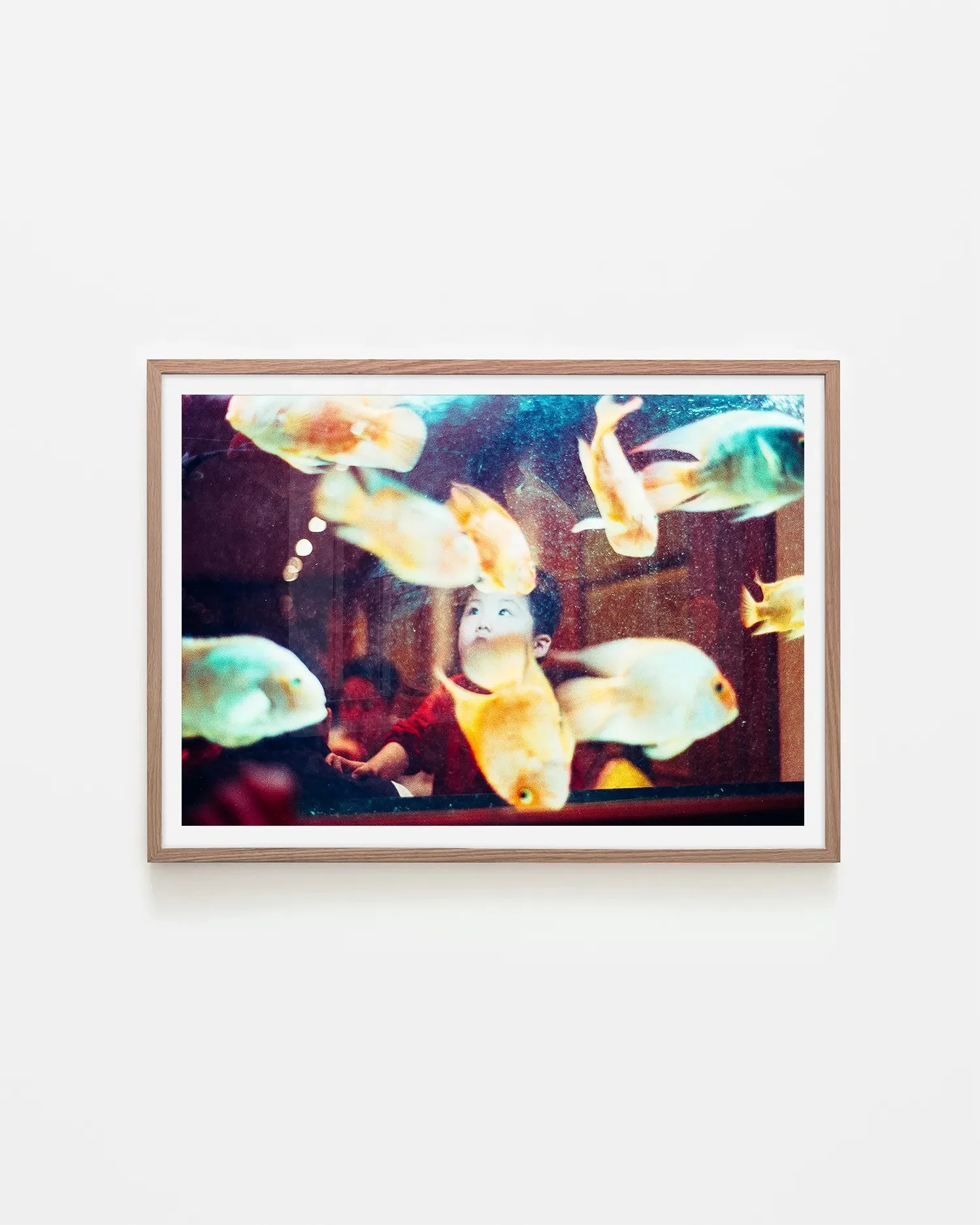 Face in Paris Fish Tank Surf Coast Photography Prints-6 copy A2 LANDSCAPE NATIVEWOOD