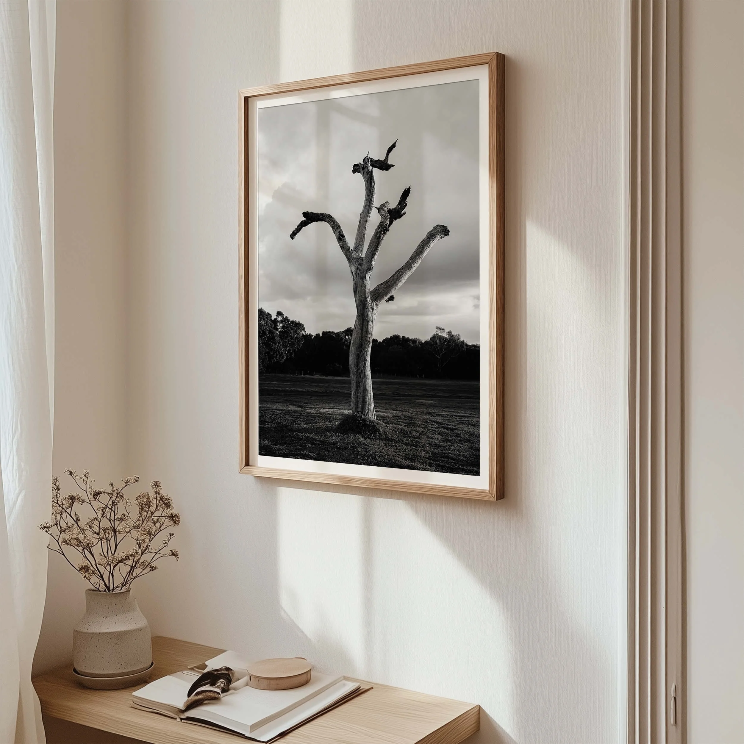 The Best Tree in Armstrong Creek.jpg