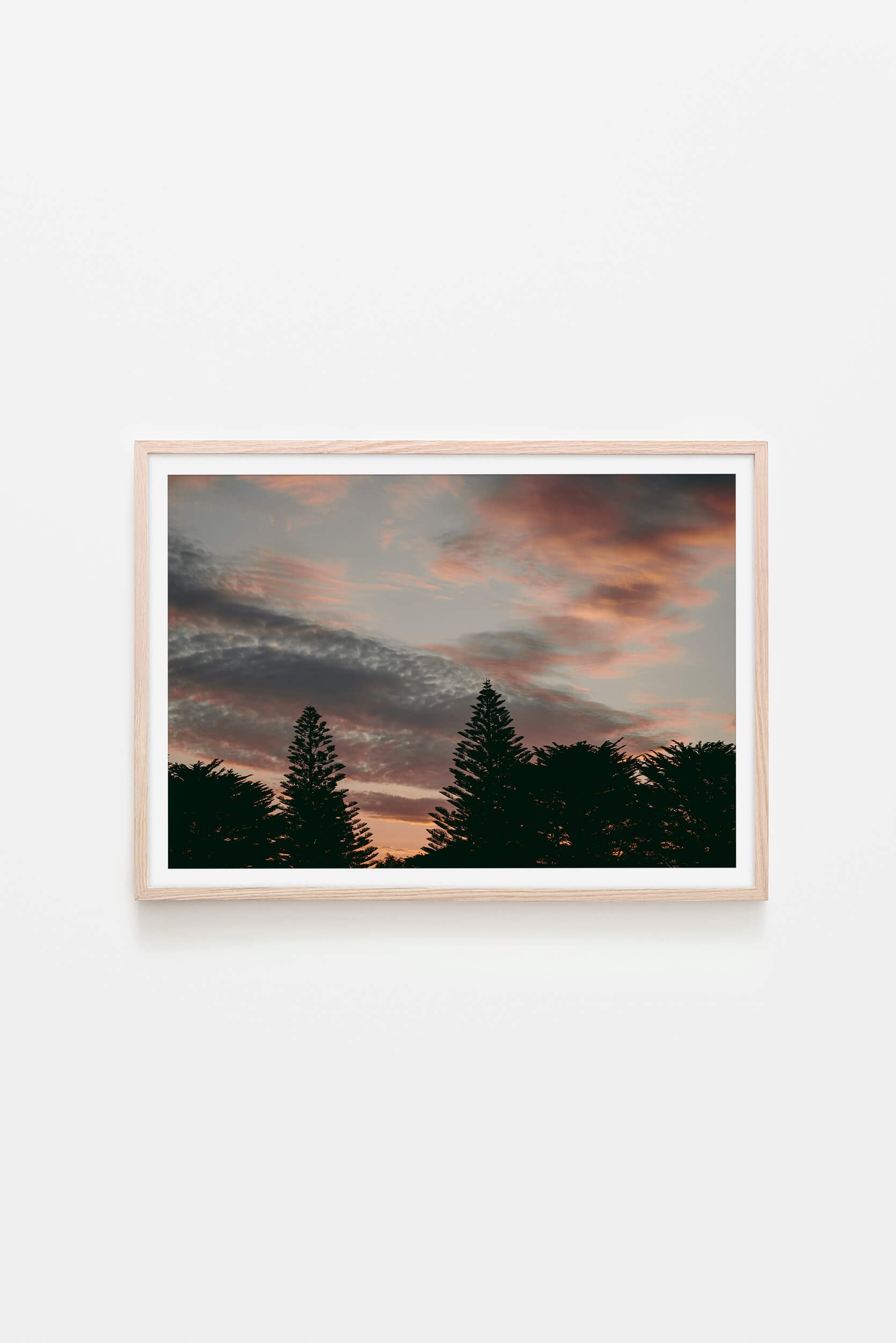 Princess Park Queenscliff Trees and Sky at Sunset © Surf Coast Photography Prints Australia_framed_example.jpg