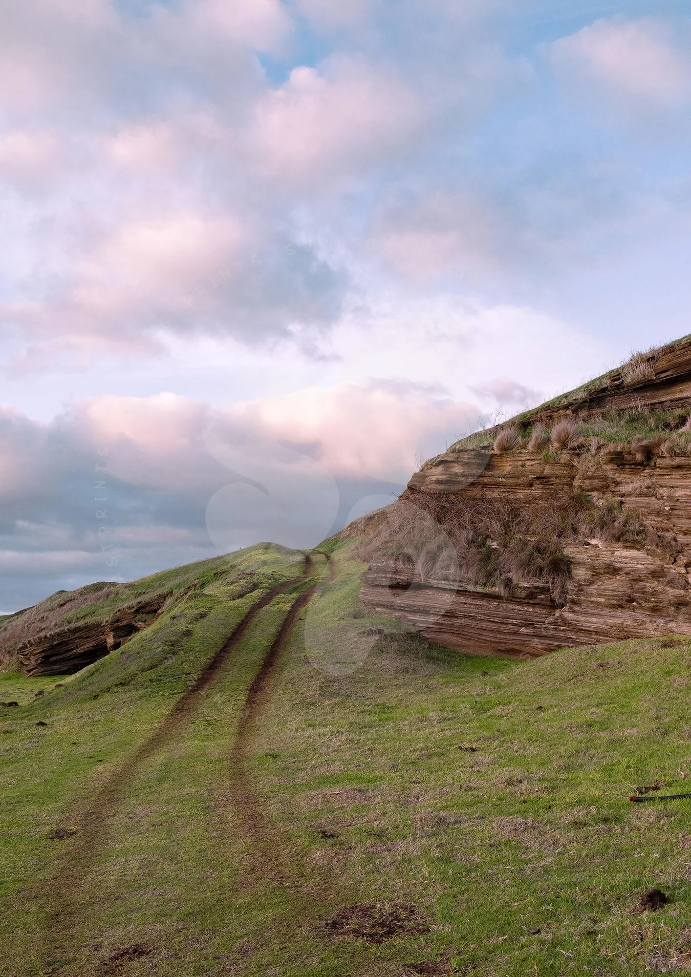 Lake Purrumbete Track and Rock © Surf Coast Photography Prints Australia3.jpg