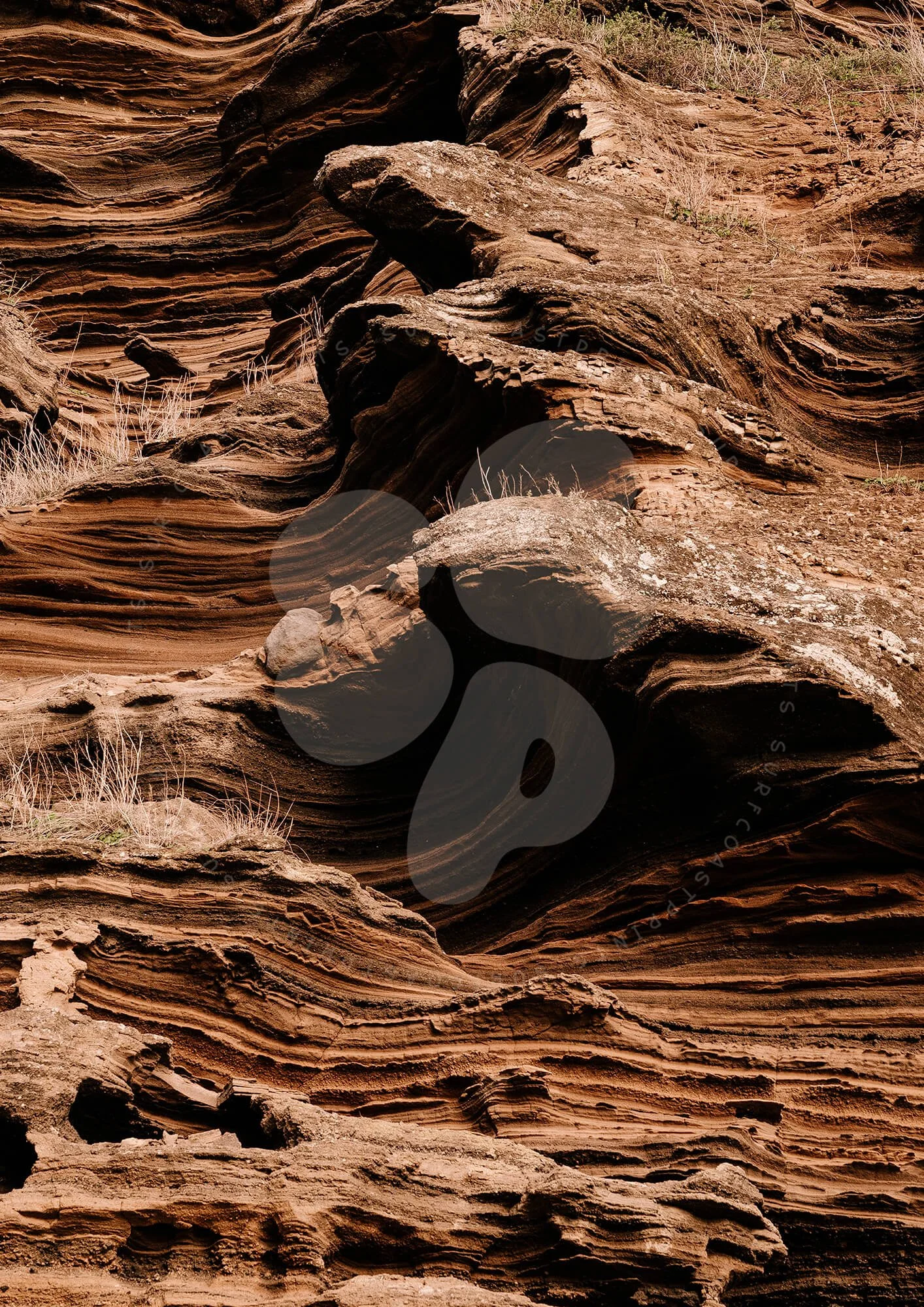 Lake Purrumbete Volcanic Rock Face (Portrait) watermarked © Surf Coast Photography Prints Australia.jpg