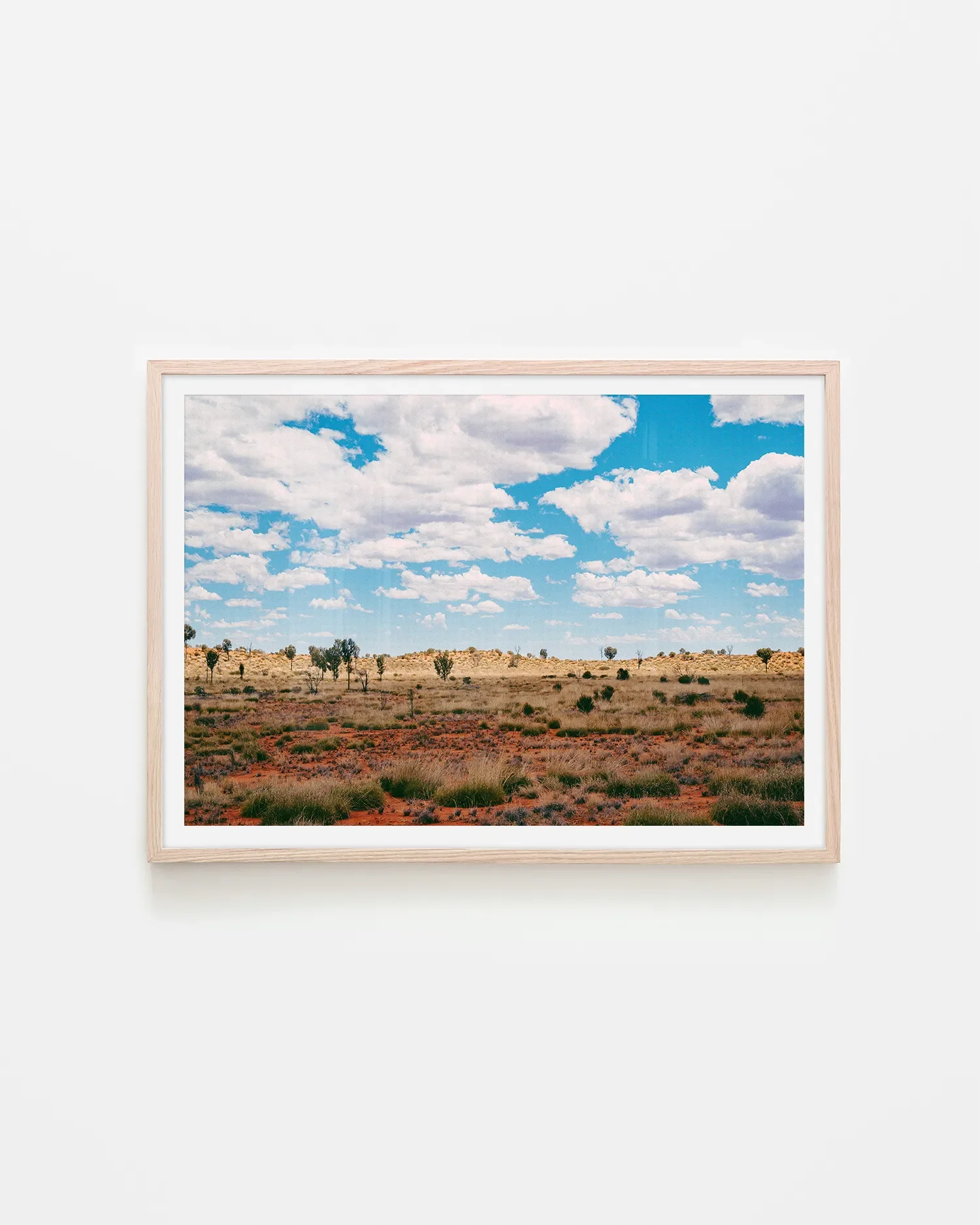 Central Australia Spinifex, Dunes and Summer Sky