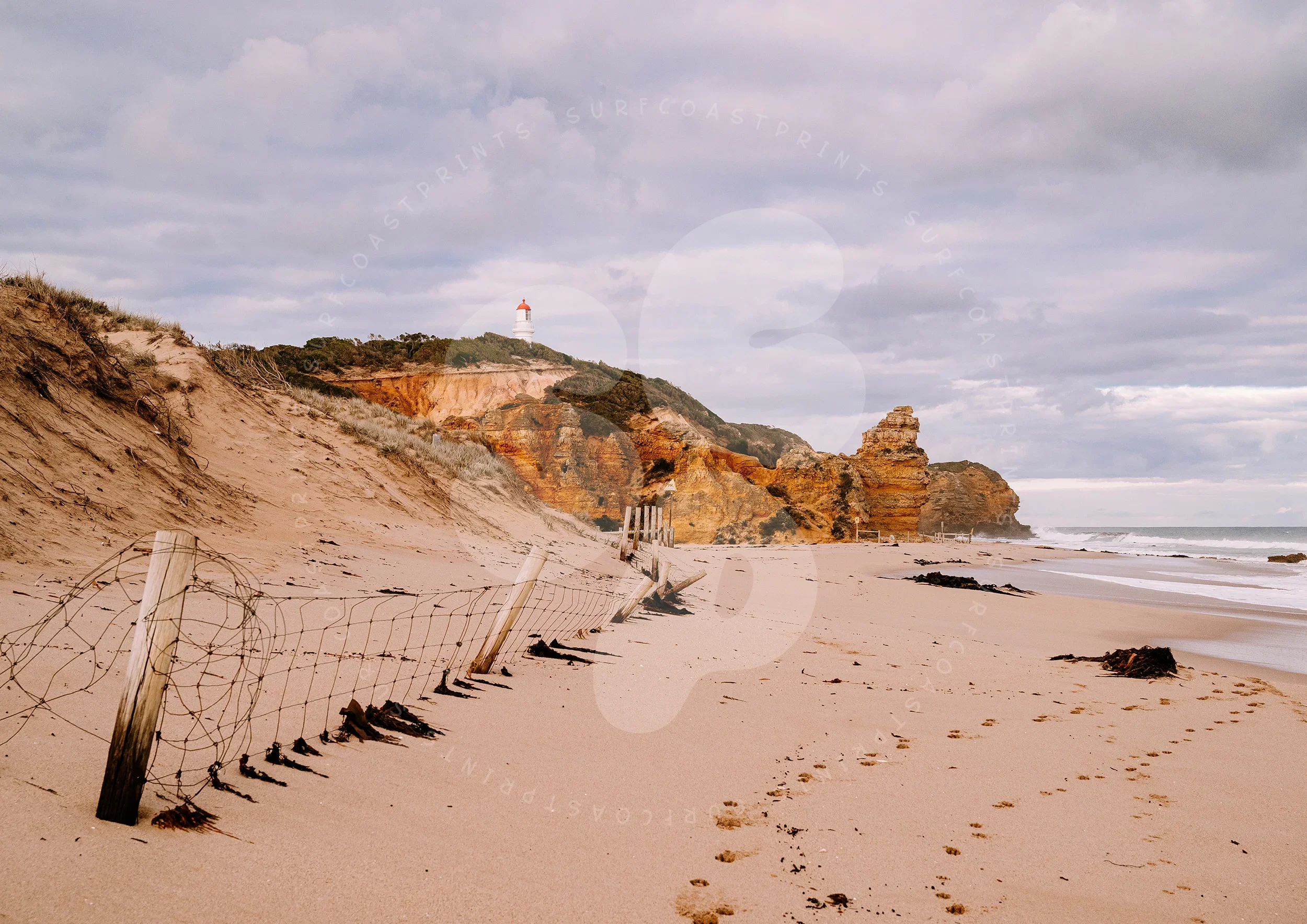 landscape_watermark_new2025_0001_White.webp