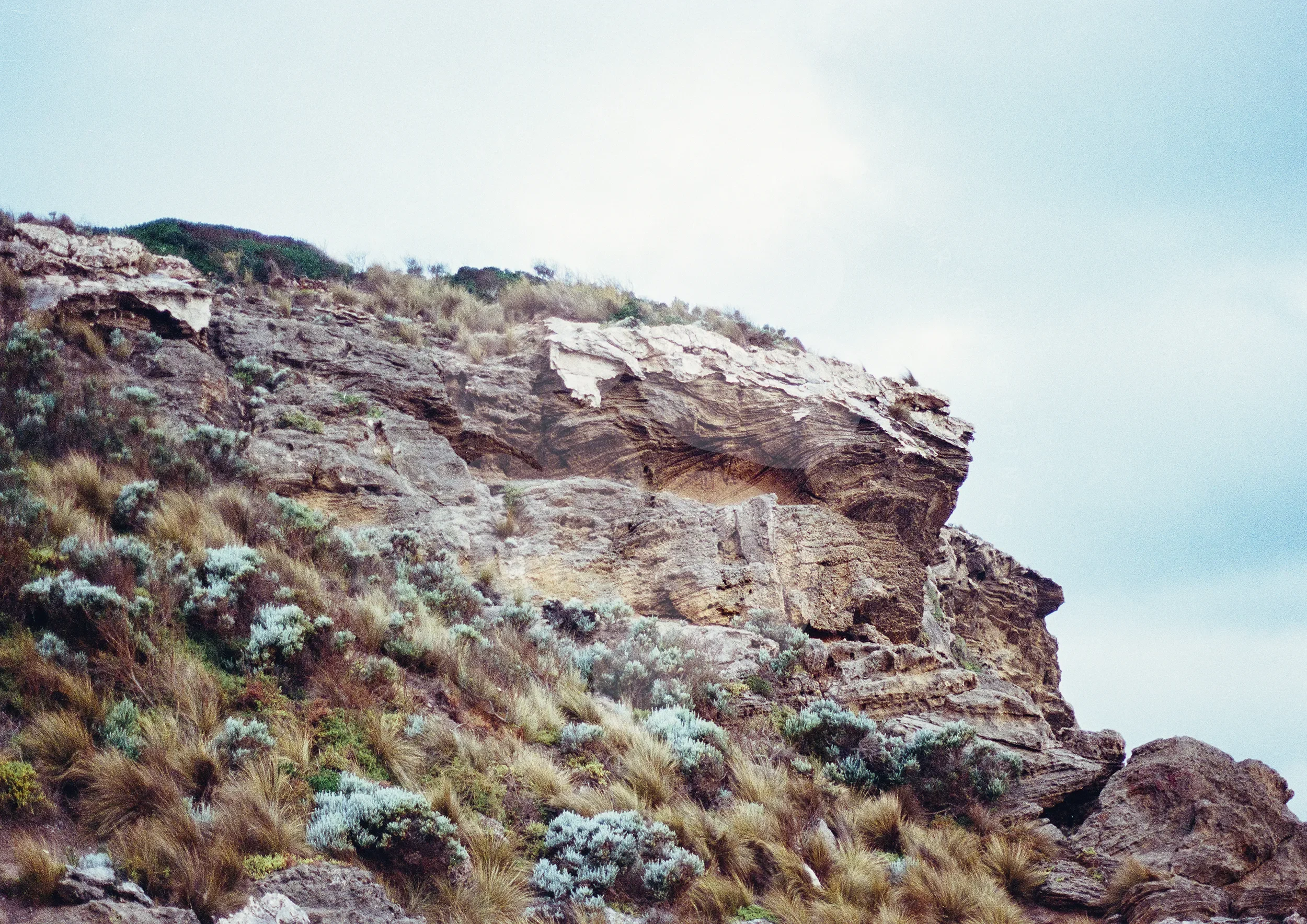 Barwon Heads Bluff © Surf Coast Photography Prints-10_LANDSCAPE_WATERMARK.webp