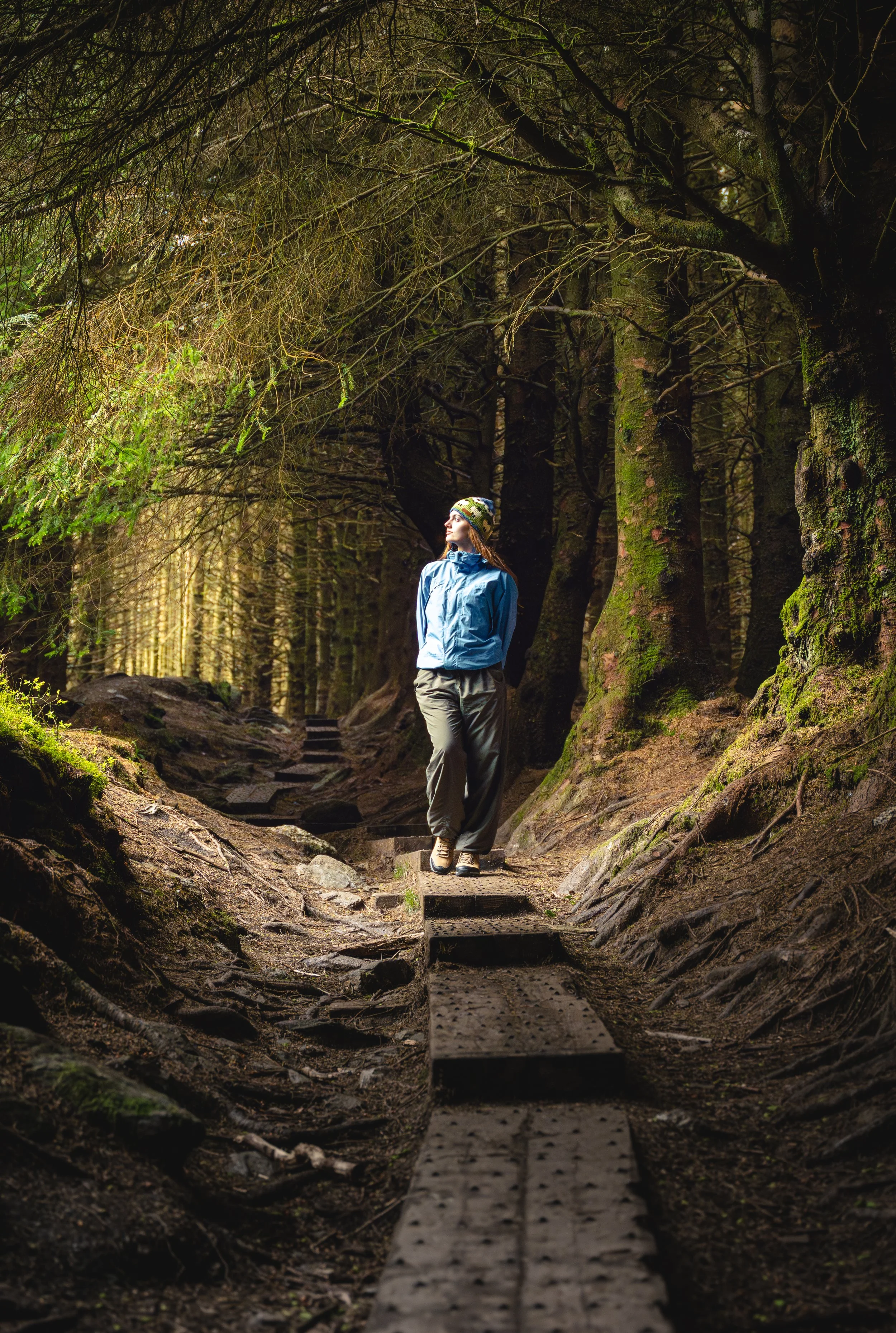 A person wearing outdoor gear, including a blue jacket and a colorful beanie, walking along a trail through a dense, moss-covered forest with tall trees and a narrow wooden path.
