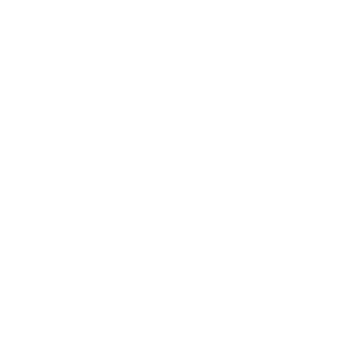 noun-value-4993275-FFFFFF.png