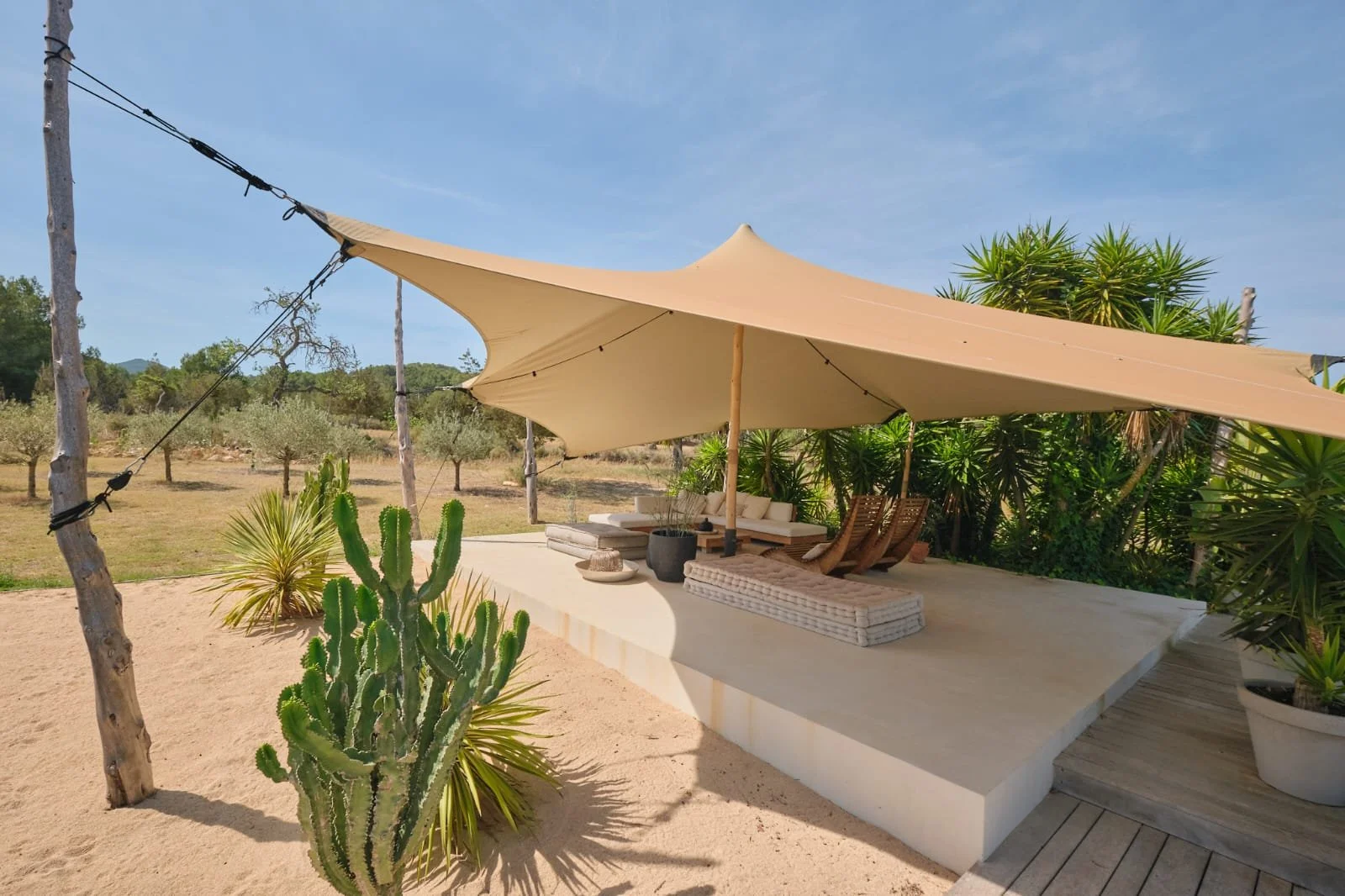 WhatsApp Image 2026-01-10 at 18.13.24 (1).jpeg