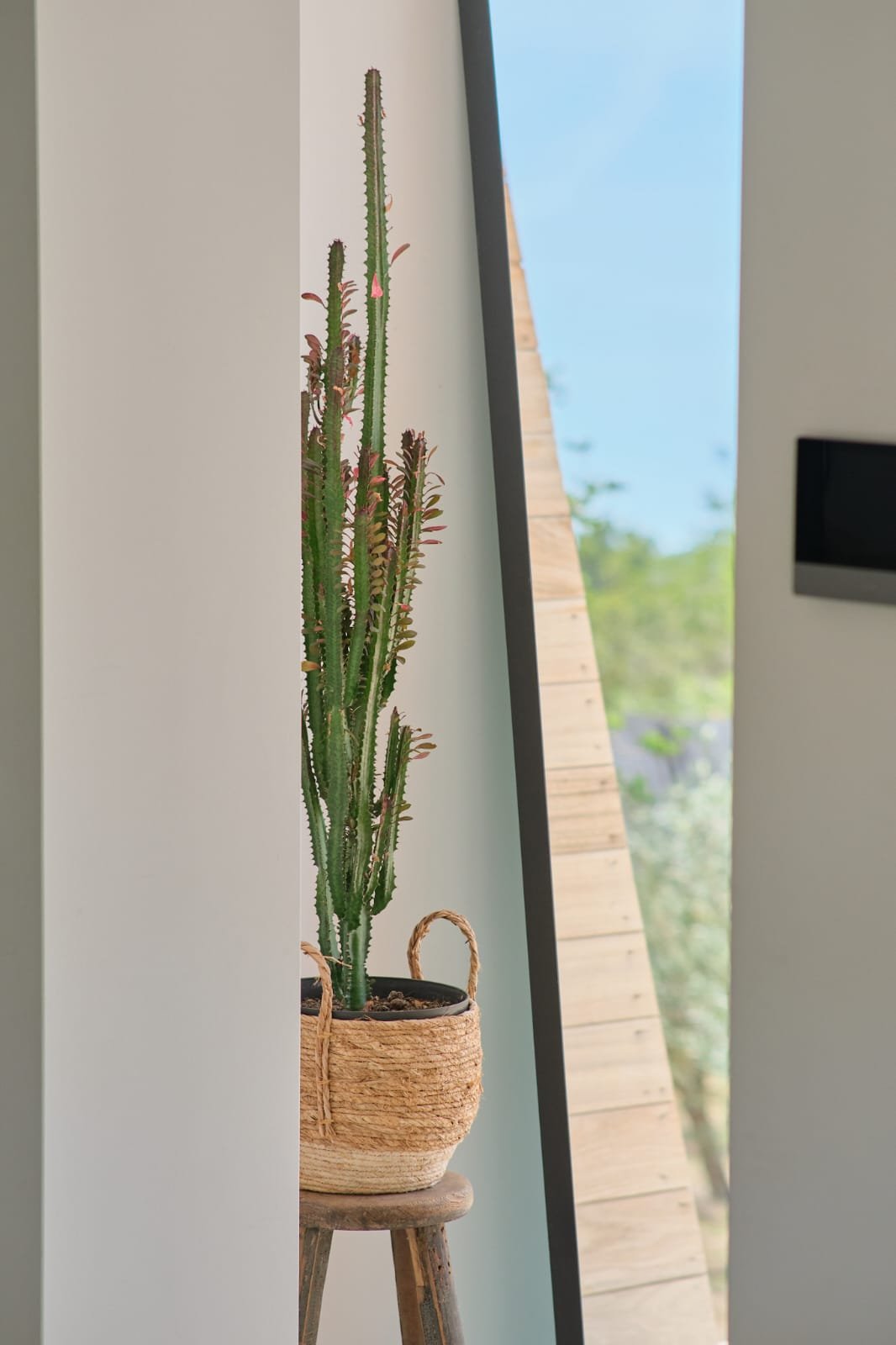 WhatsApp Image 2026-01-10 at 18.13.37.jpeg