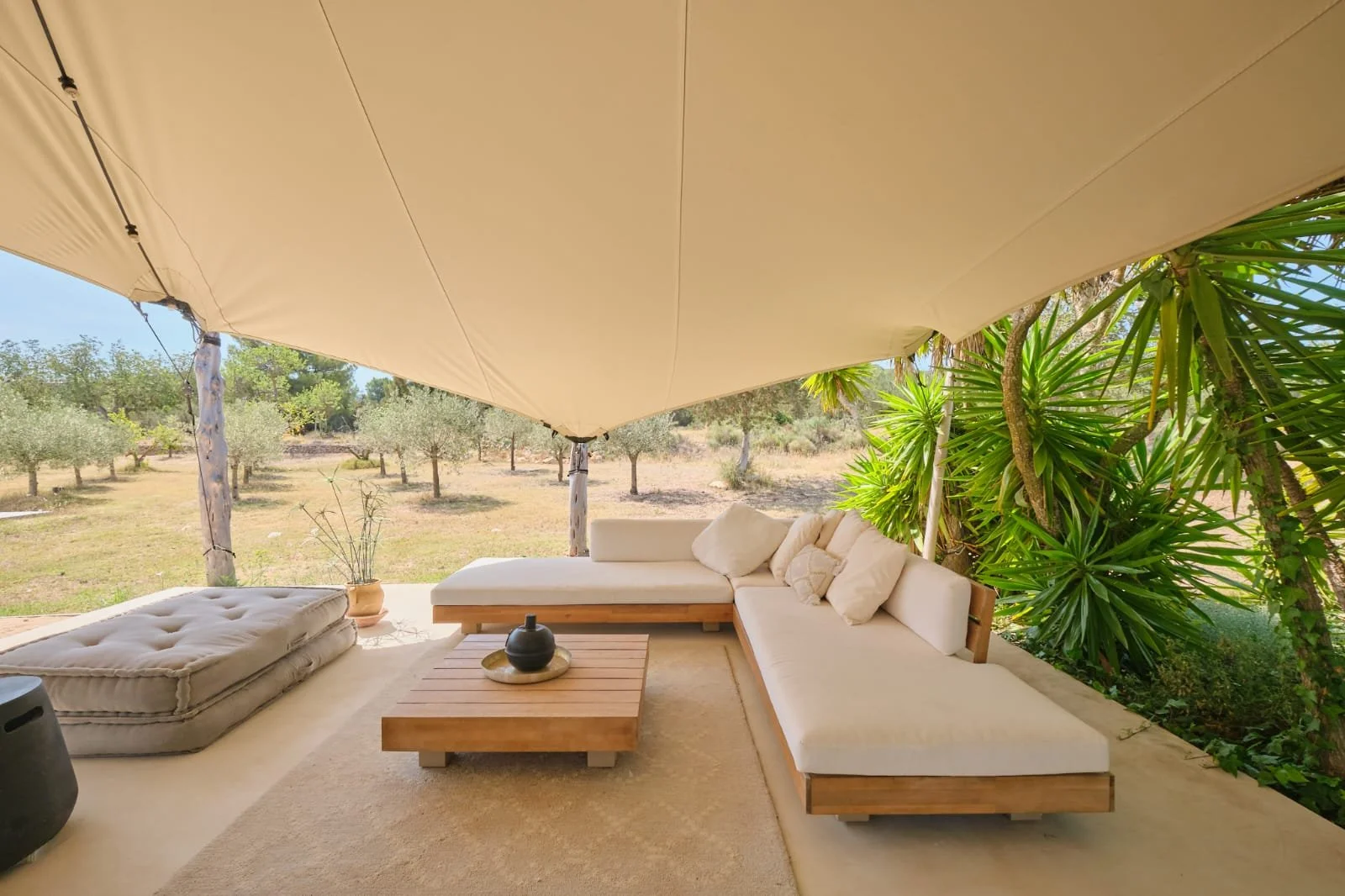 WhatsApp Image 2026-01-10 at 18.13.24.jpeg