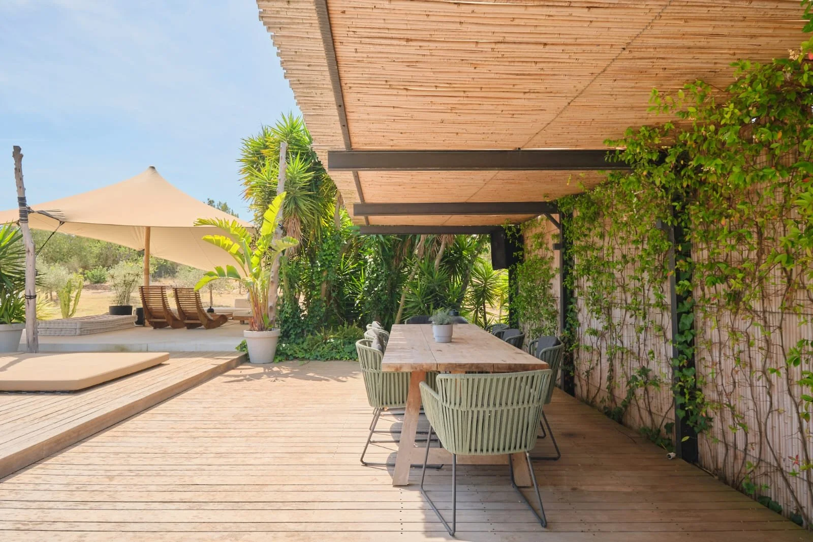 WhatsApp Image 2026-01-10 at 18.13.31.jpeg