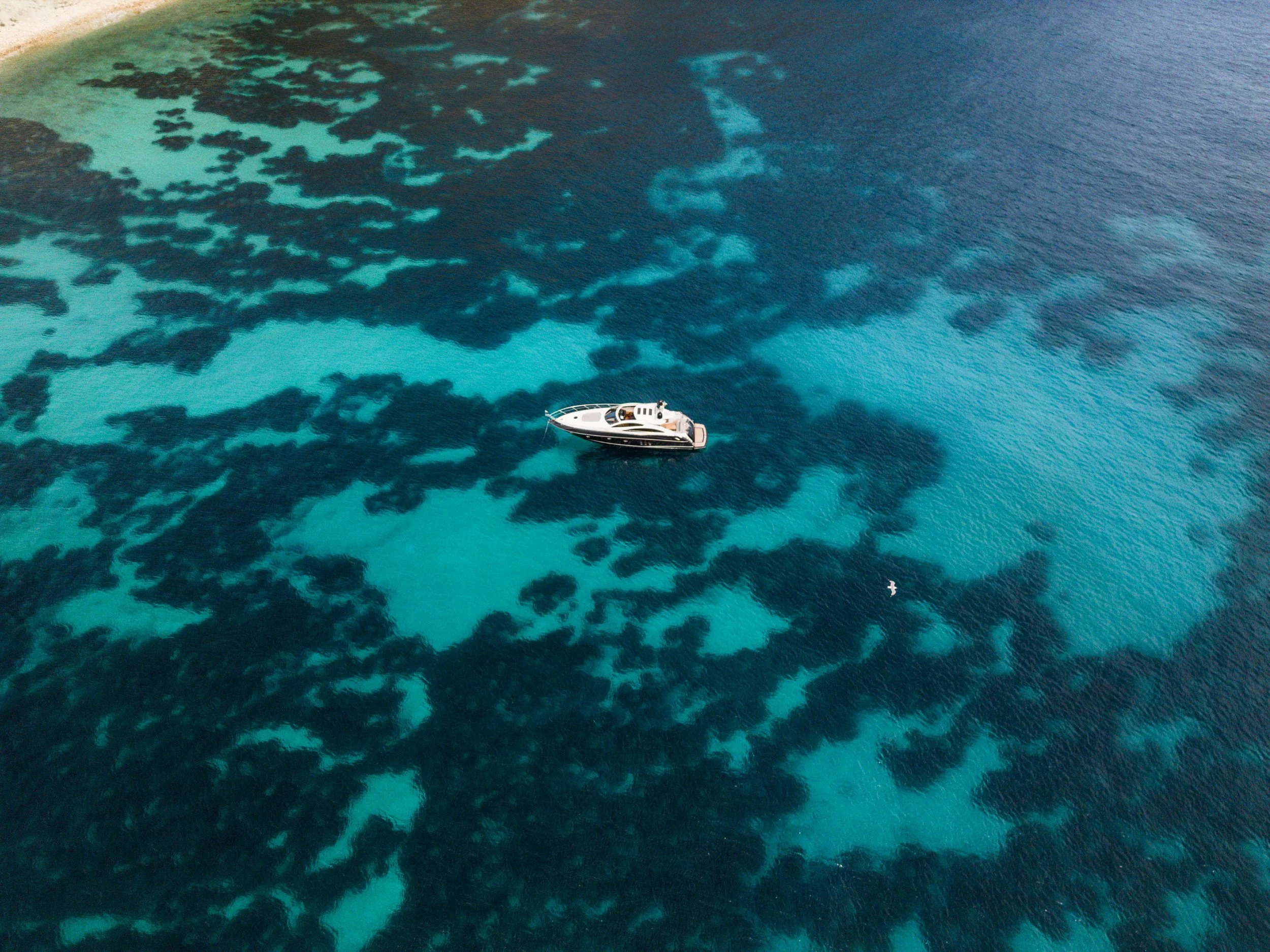 DJI_0893.jpg