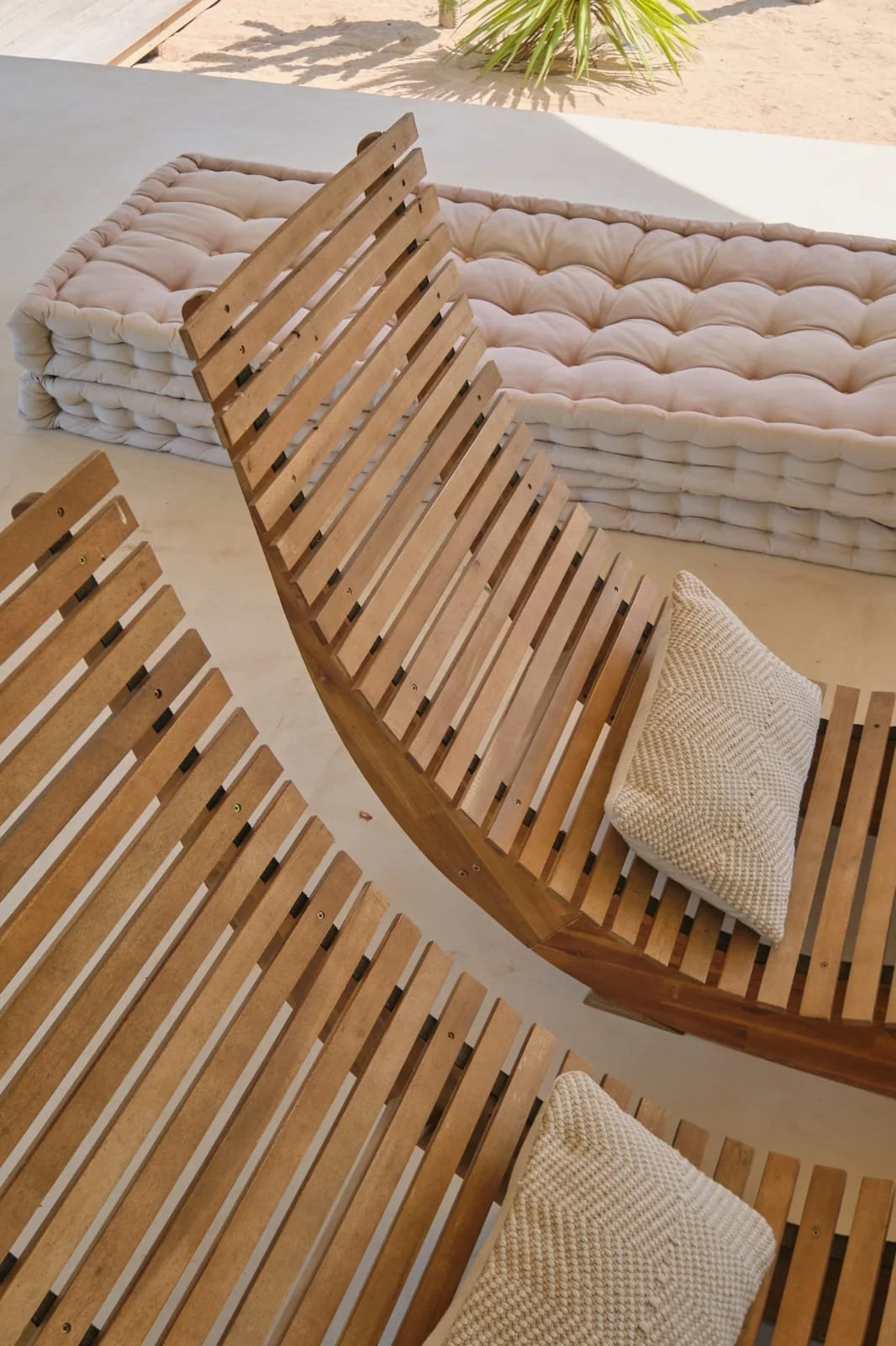 WhatsApp Image 2026-01-10 at 18.13.26.jpeg