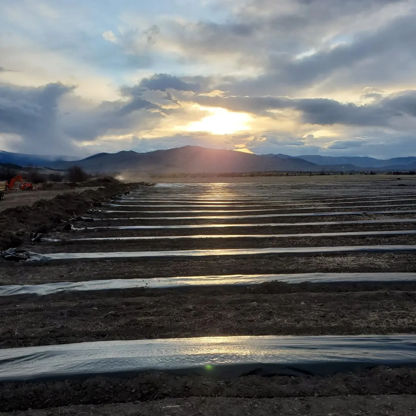 278194299_267807498782506_1870579858057867021_n.jfif