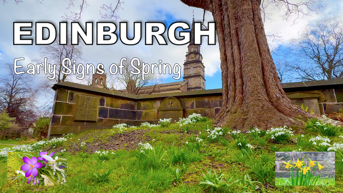 Springtime Flowers in Edinburgh