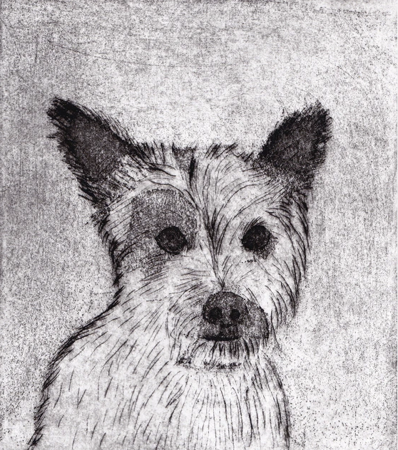 Screenshot 2024-06-10 at 10.36.13.png