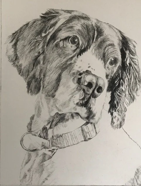 Title: Cleo
Ed: 5
Medium: Drypoint
Size: 15cm x 20cm