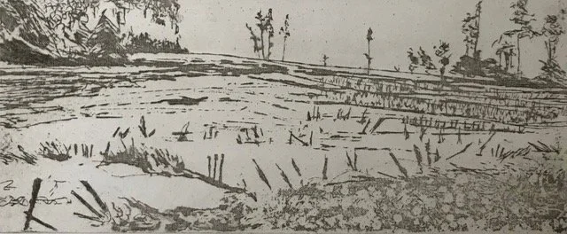 Title: Camino series #2
Ed: 5
Medium: Etching
Size: 24cm x 10cm